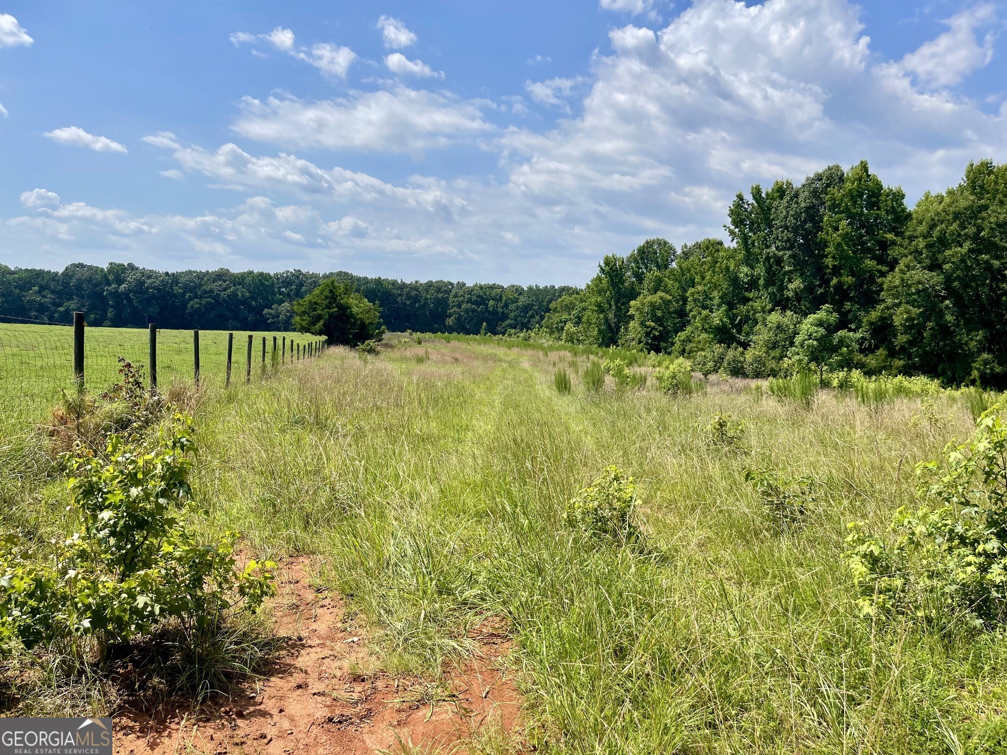 495 Bragg Road Property Photo 49