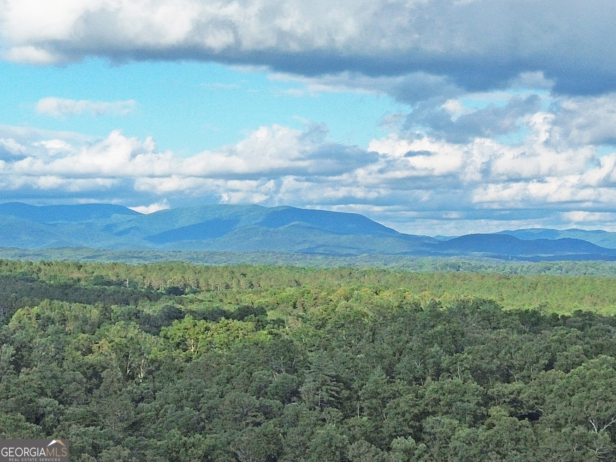 Lot 20 Mt Springer Road Property Photo 1