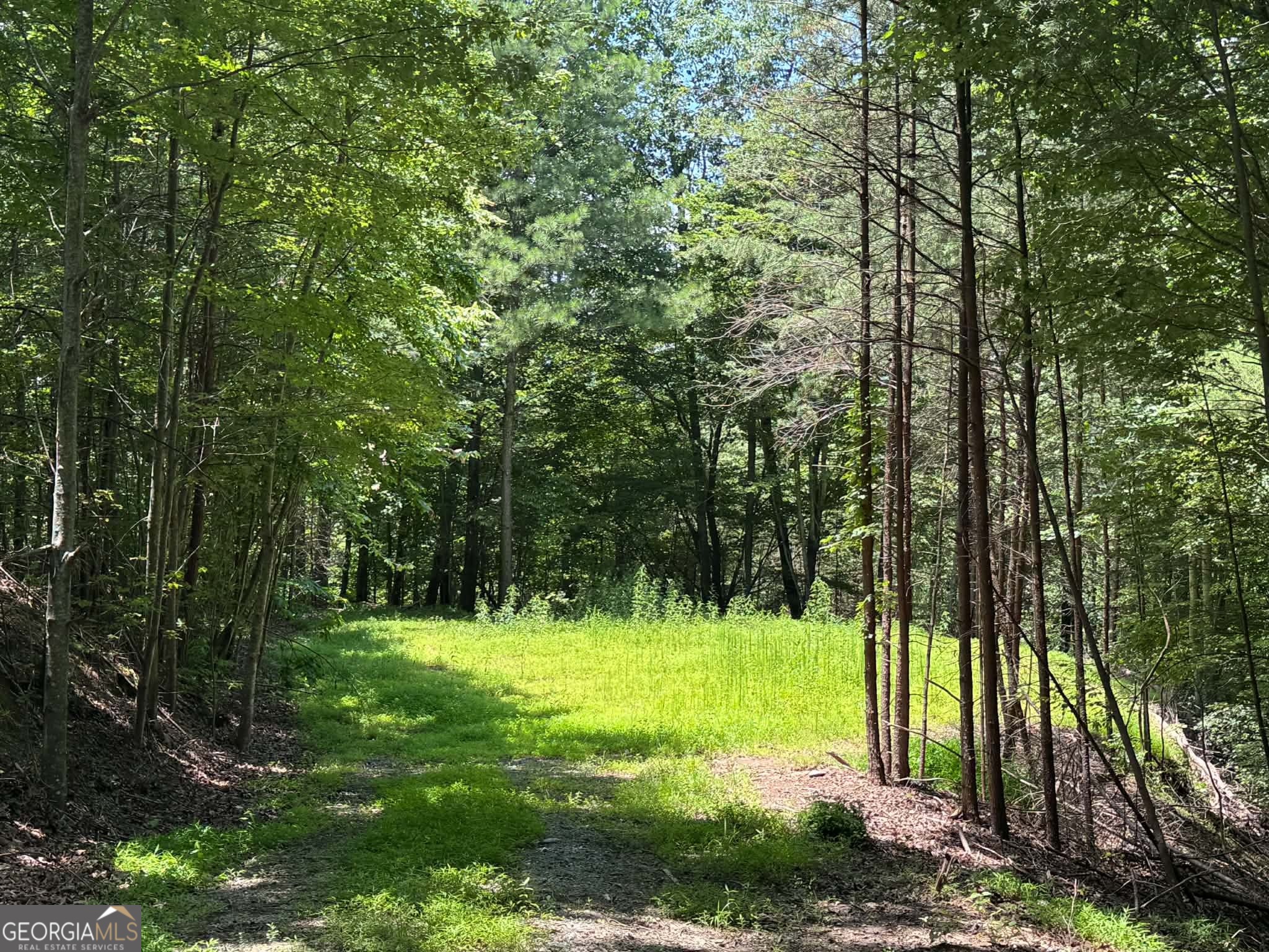 1450 Hanna Drive Property Photo 3