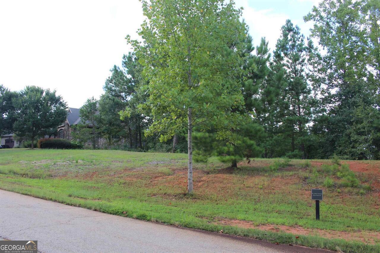 334 Edgewater Trail S Property Photo 1