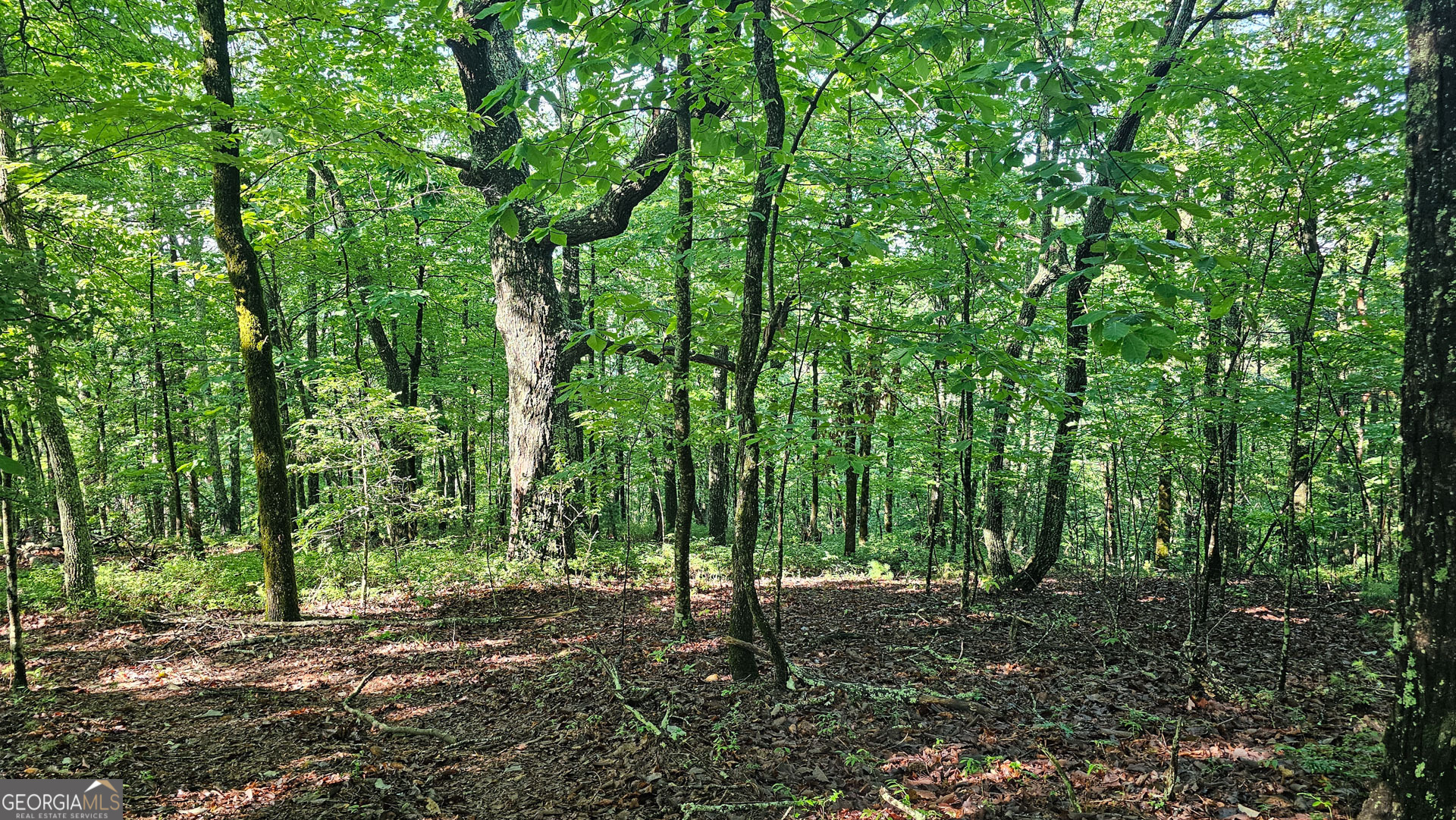 0 Cornsilk Property Photo 10