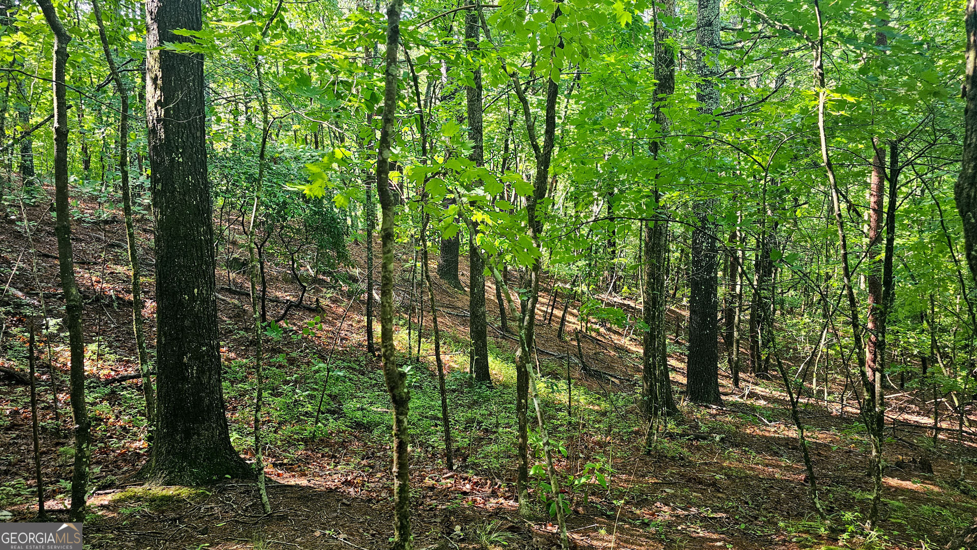 0 Cornsilk Property Photo 12