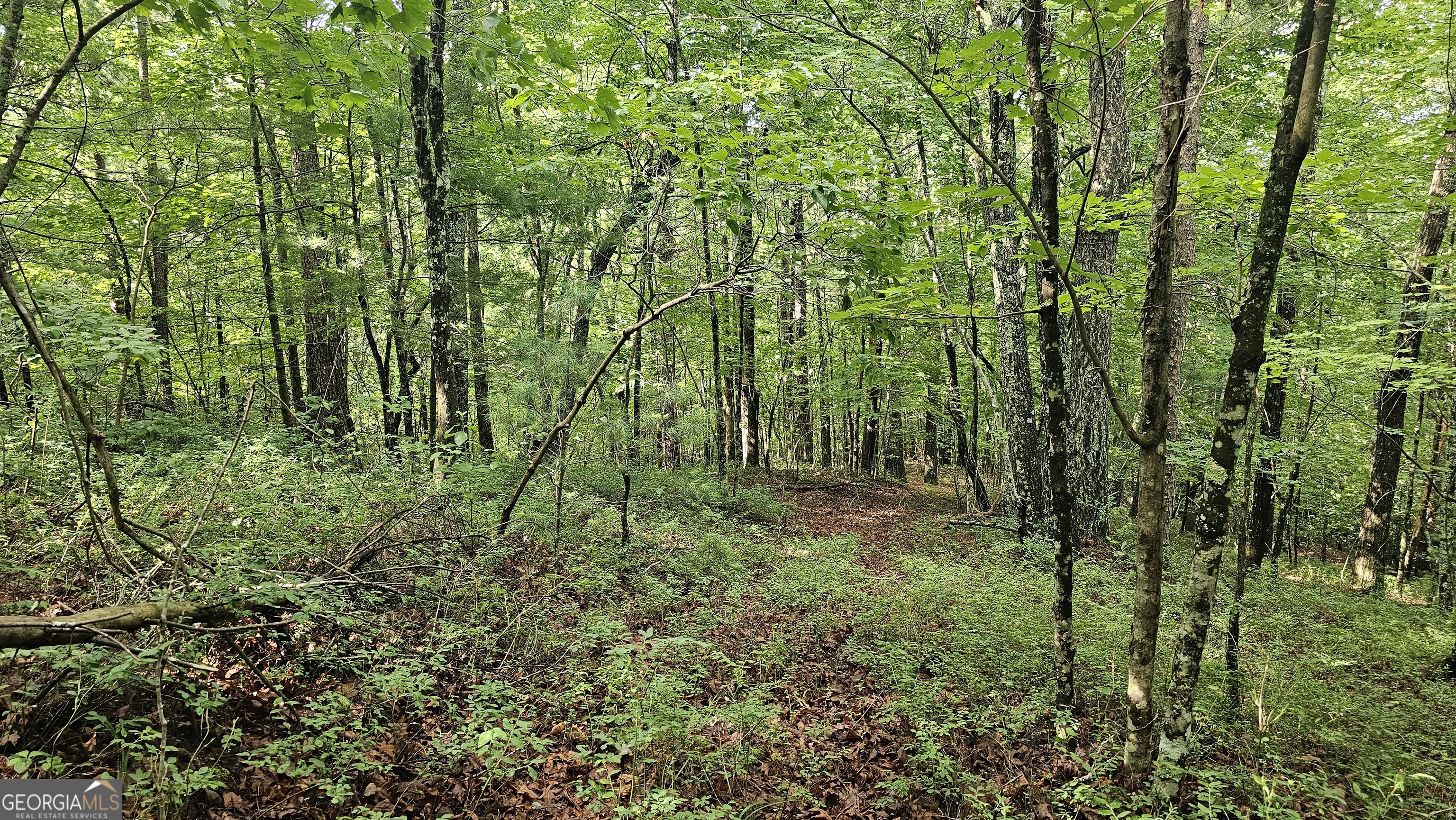 0 Cornsilk Property Photo 18