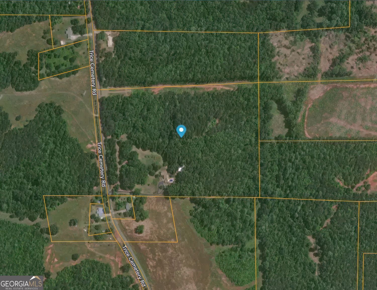 1793 Trice Cemetery Road Property Photo 57