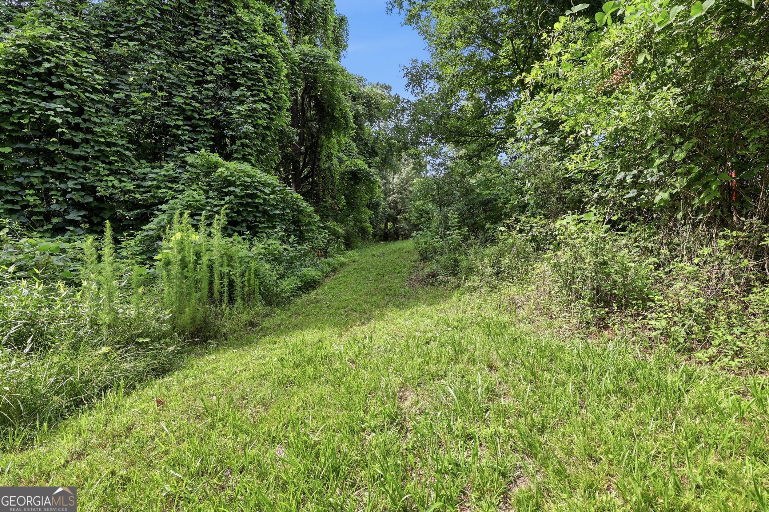 0 Lord Road Property Photo 8