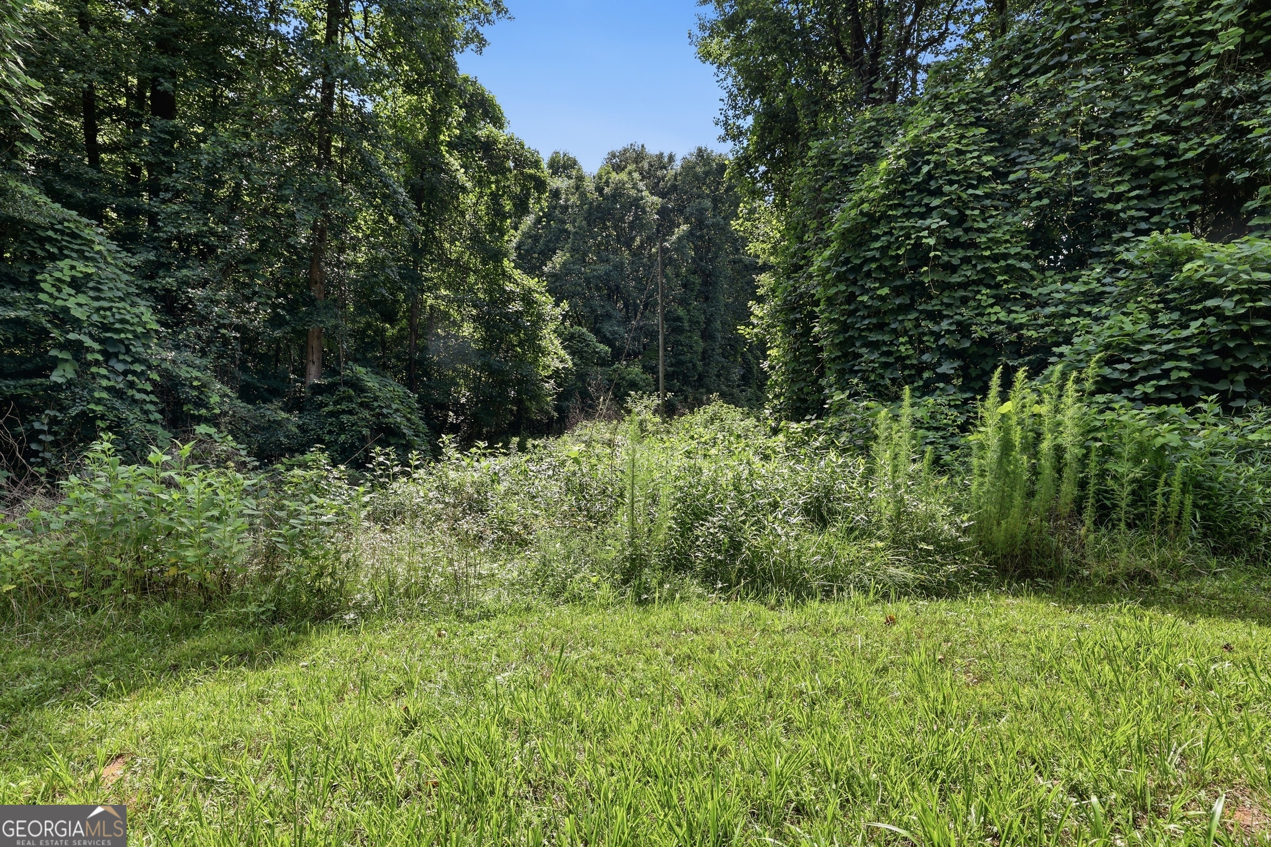 0 Lord Road Property Photo 10