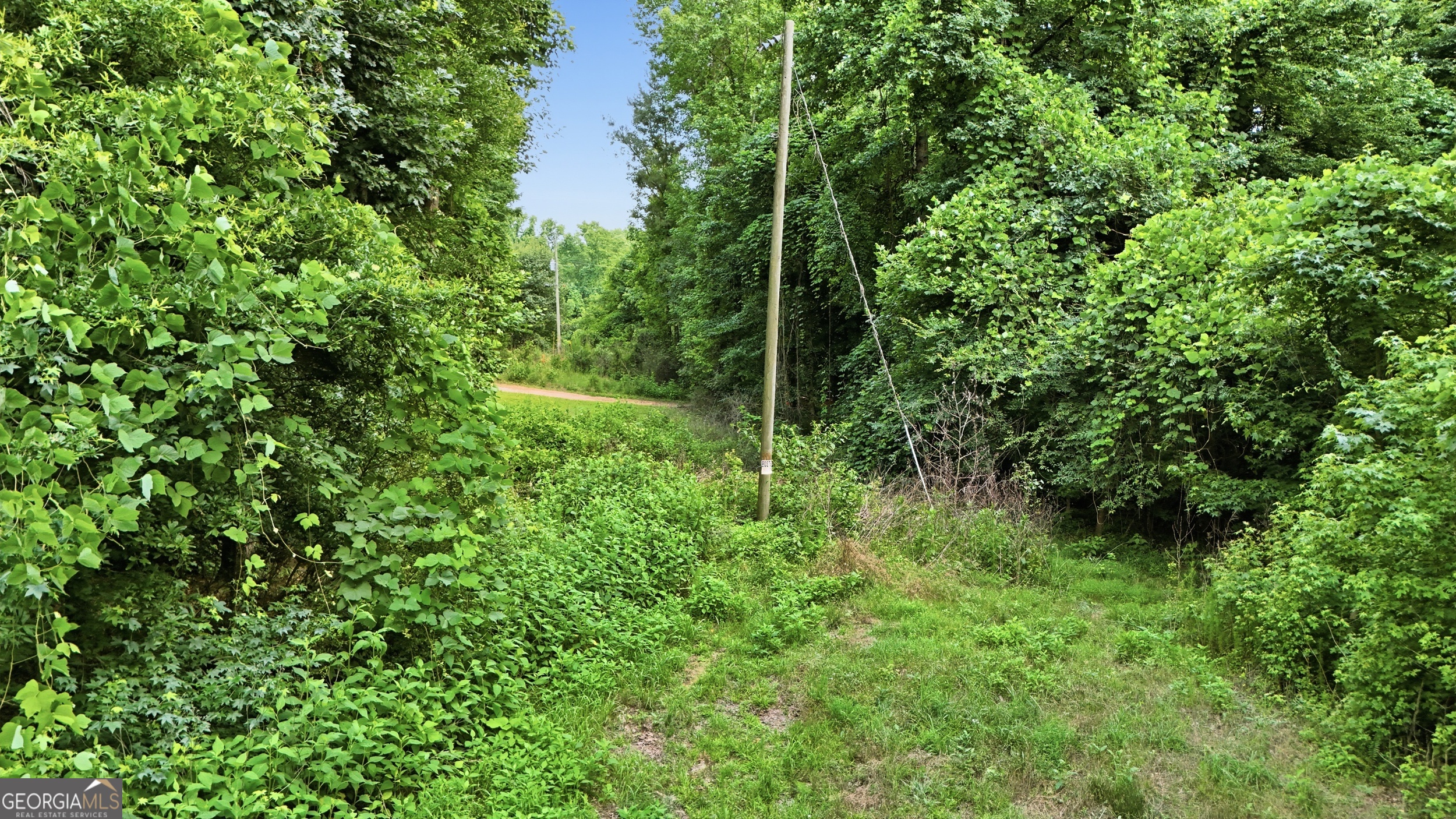 0 Lord Road Property Photo 12