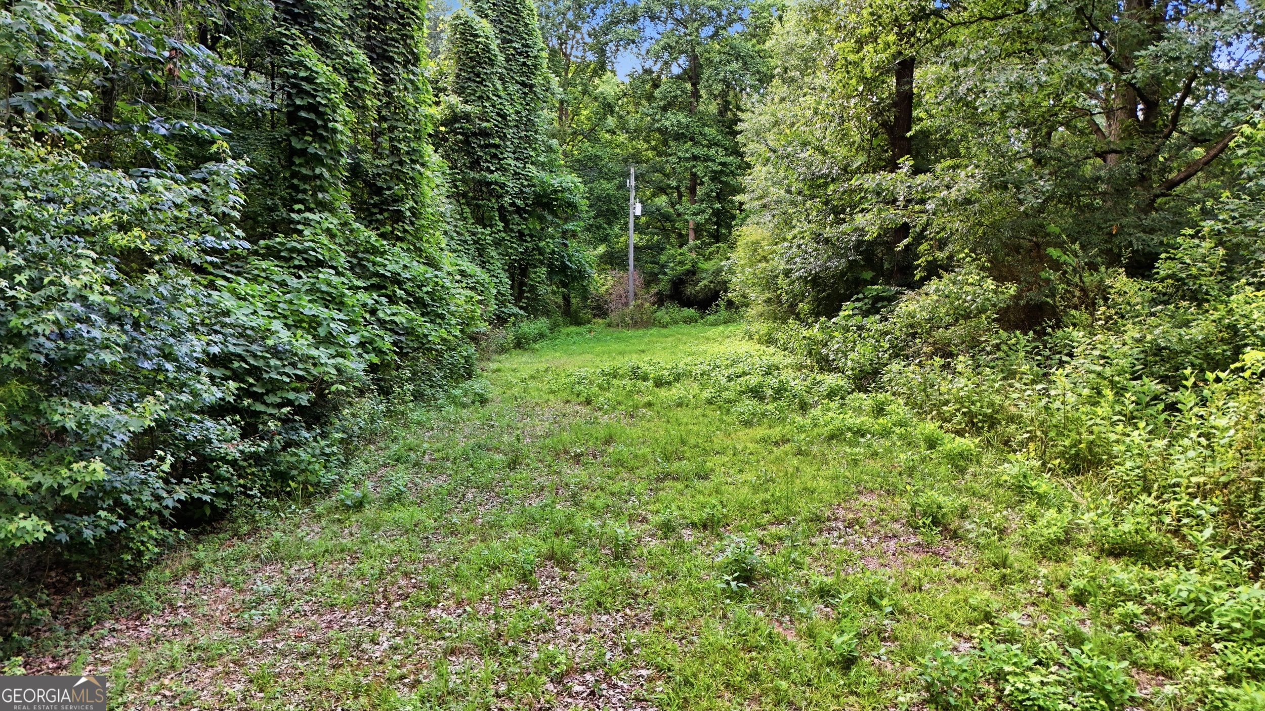 0 Lord Road Property Photo 13