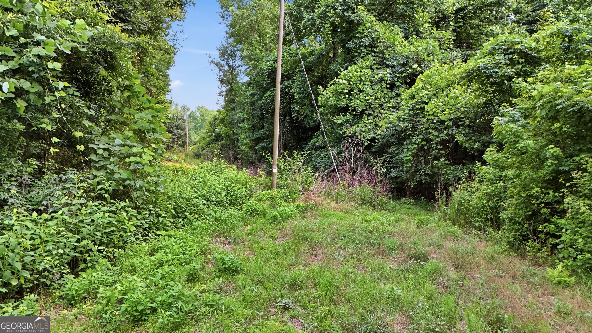 0 Lord Road Property Photo 14