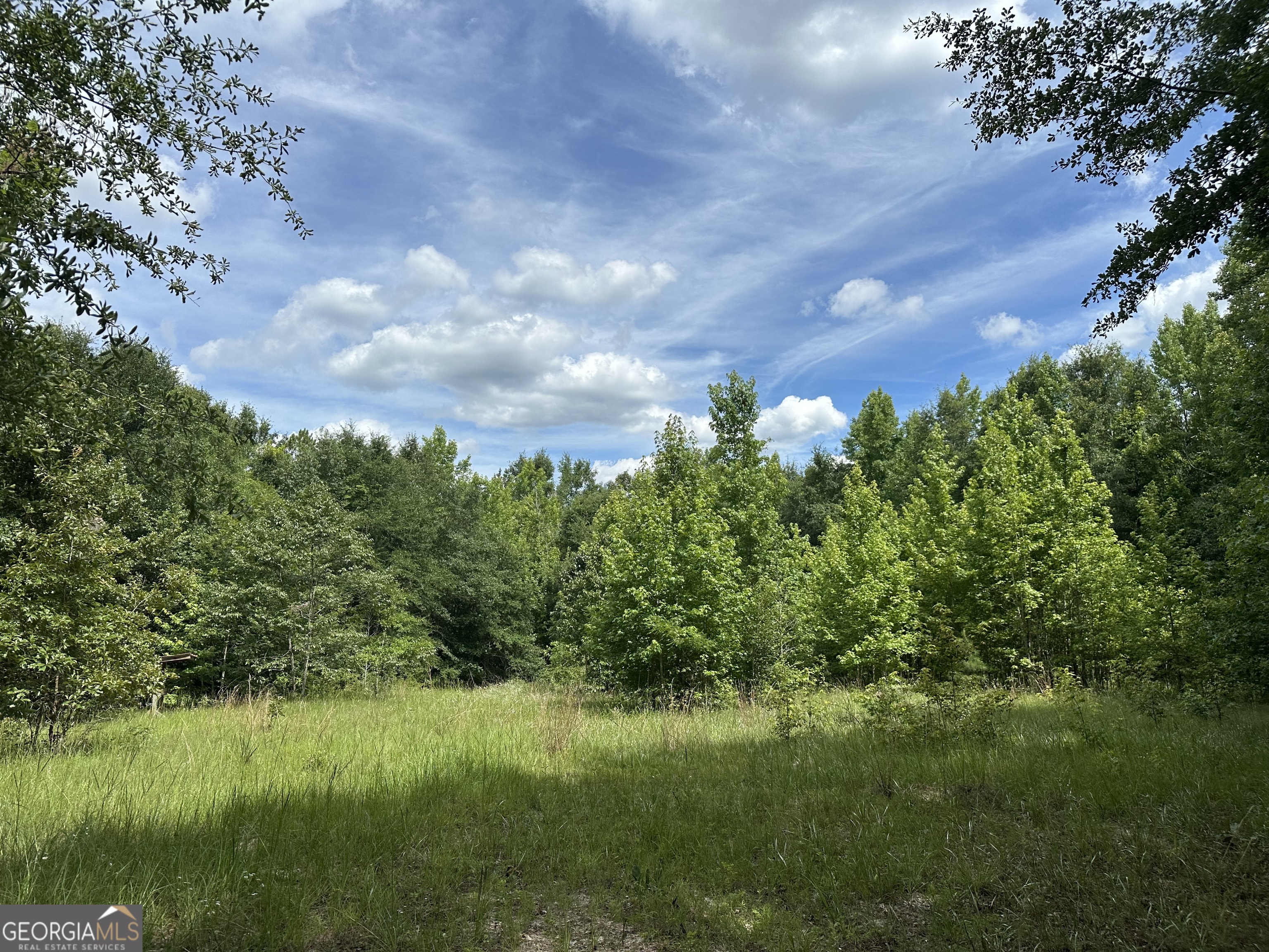 699 Ga Highway 96 Property Photo 2