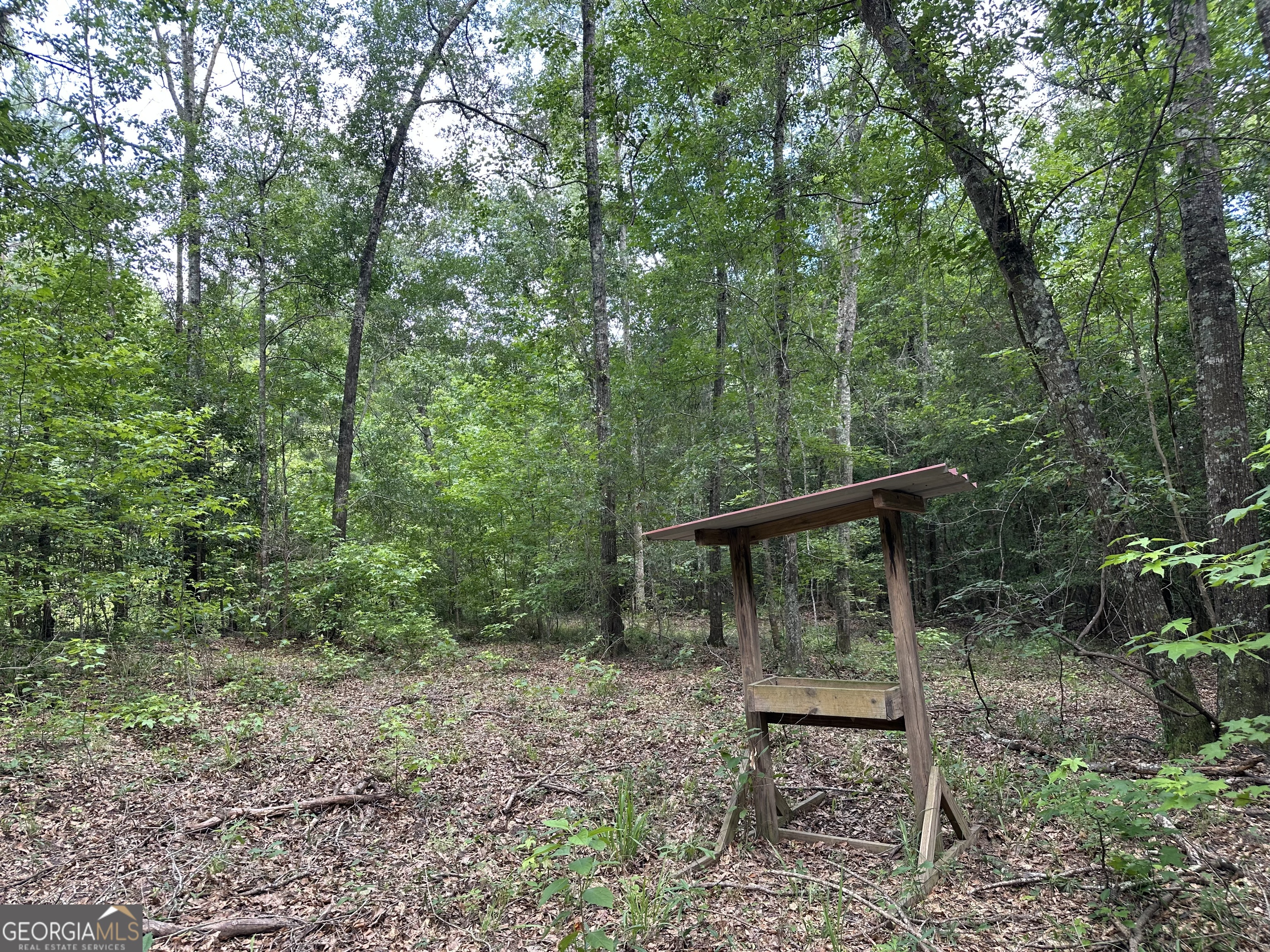 699 Ga Highway 96 Property Photo 3