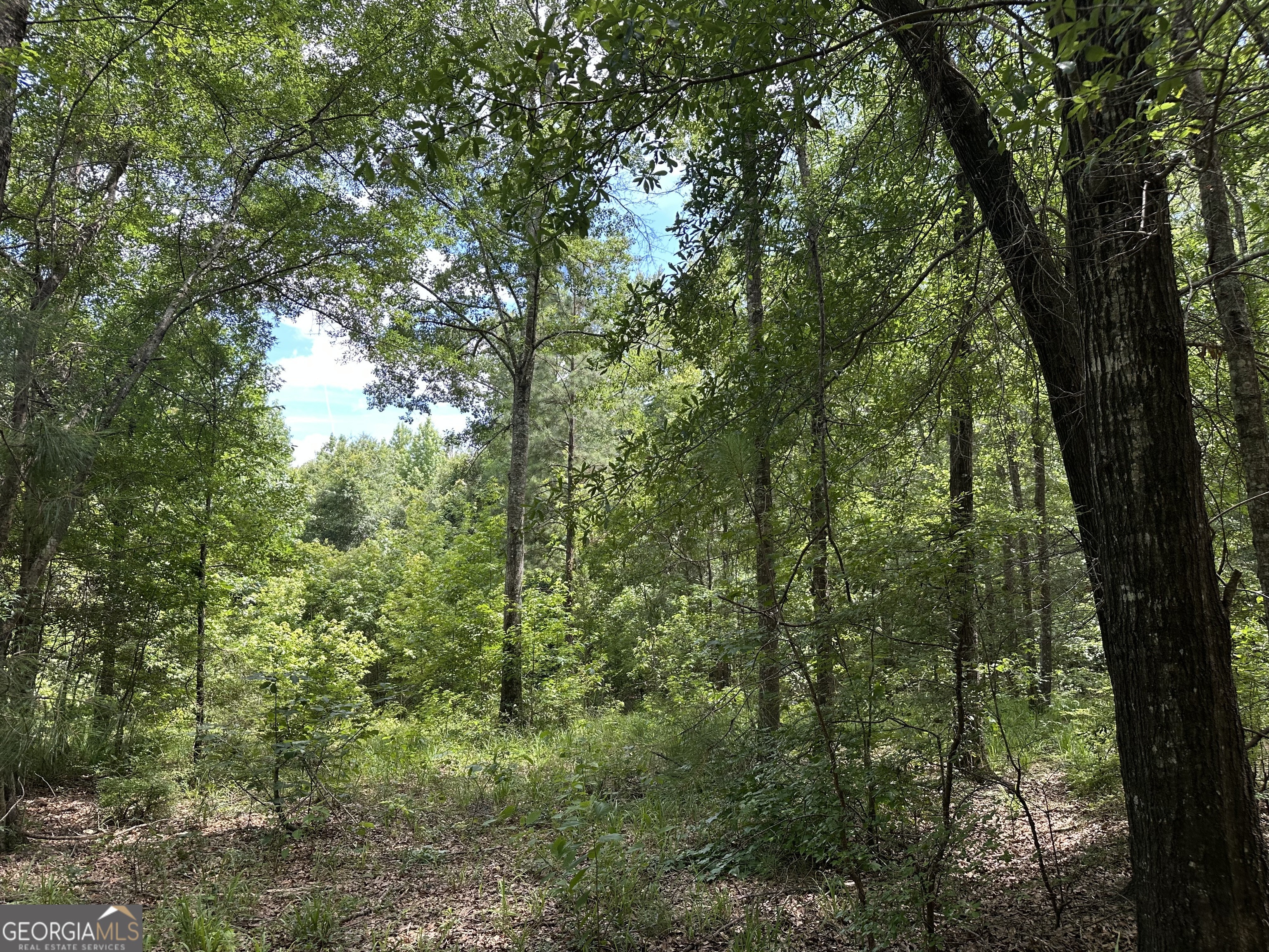 699 Ga Highway 96 Property Photo 4