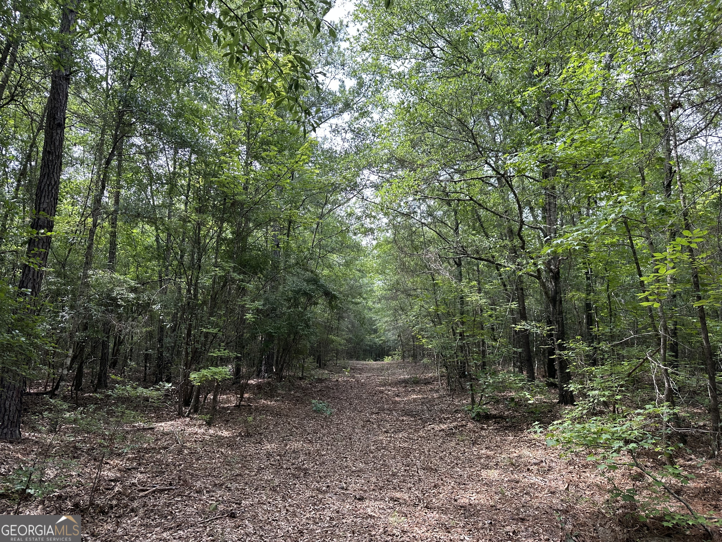 699 Ga Highway 96 Property Photo 5