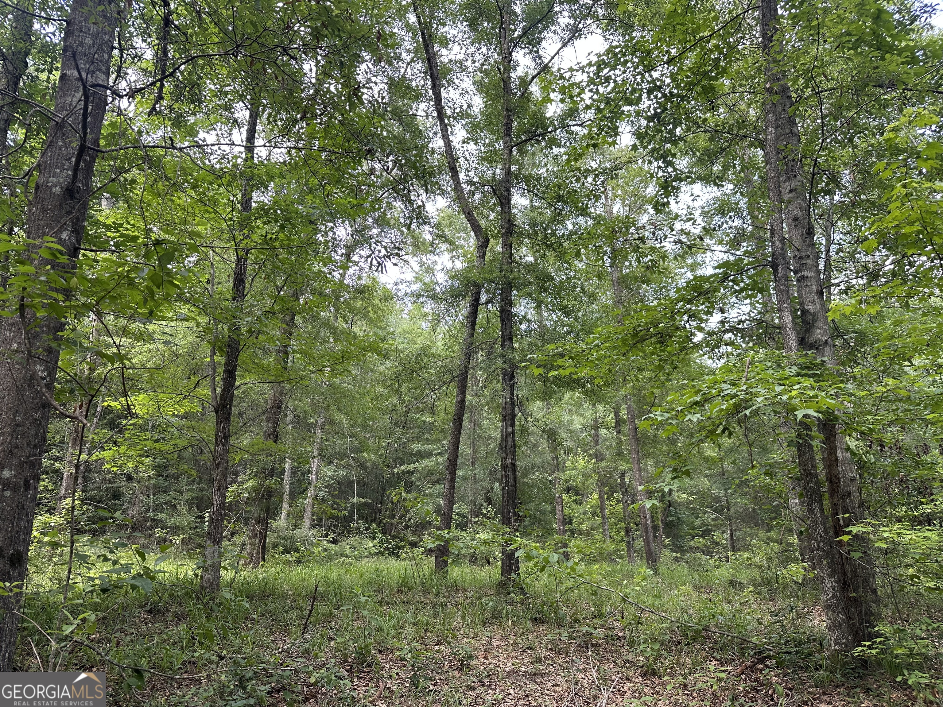 699 Ga Highway 96 Property Photo 6