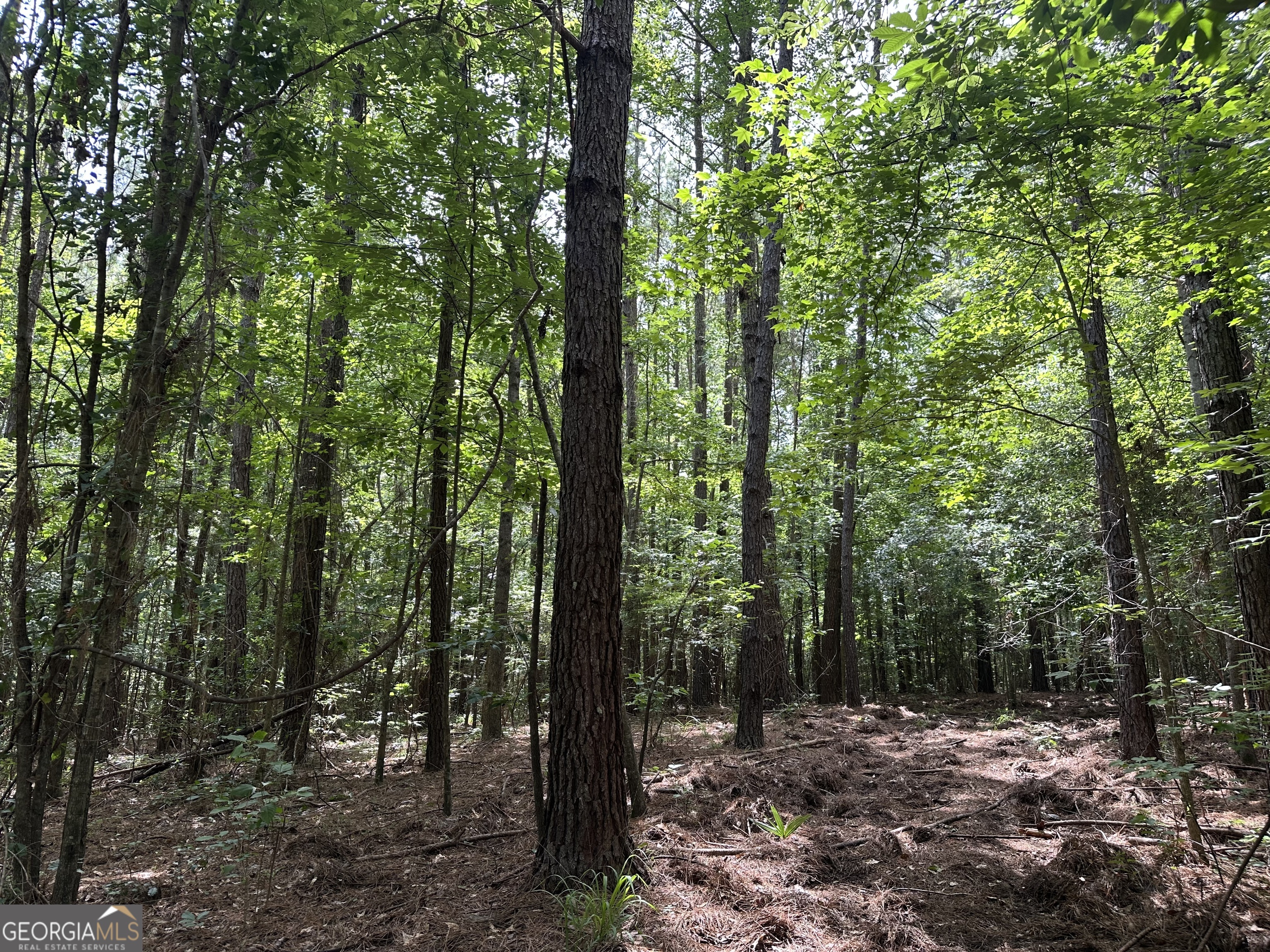 699 Ga Highway 96 Property Photo 8