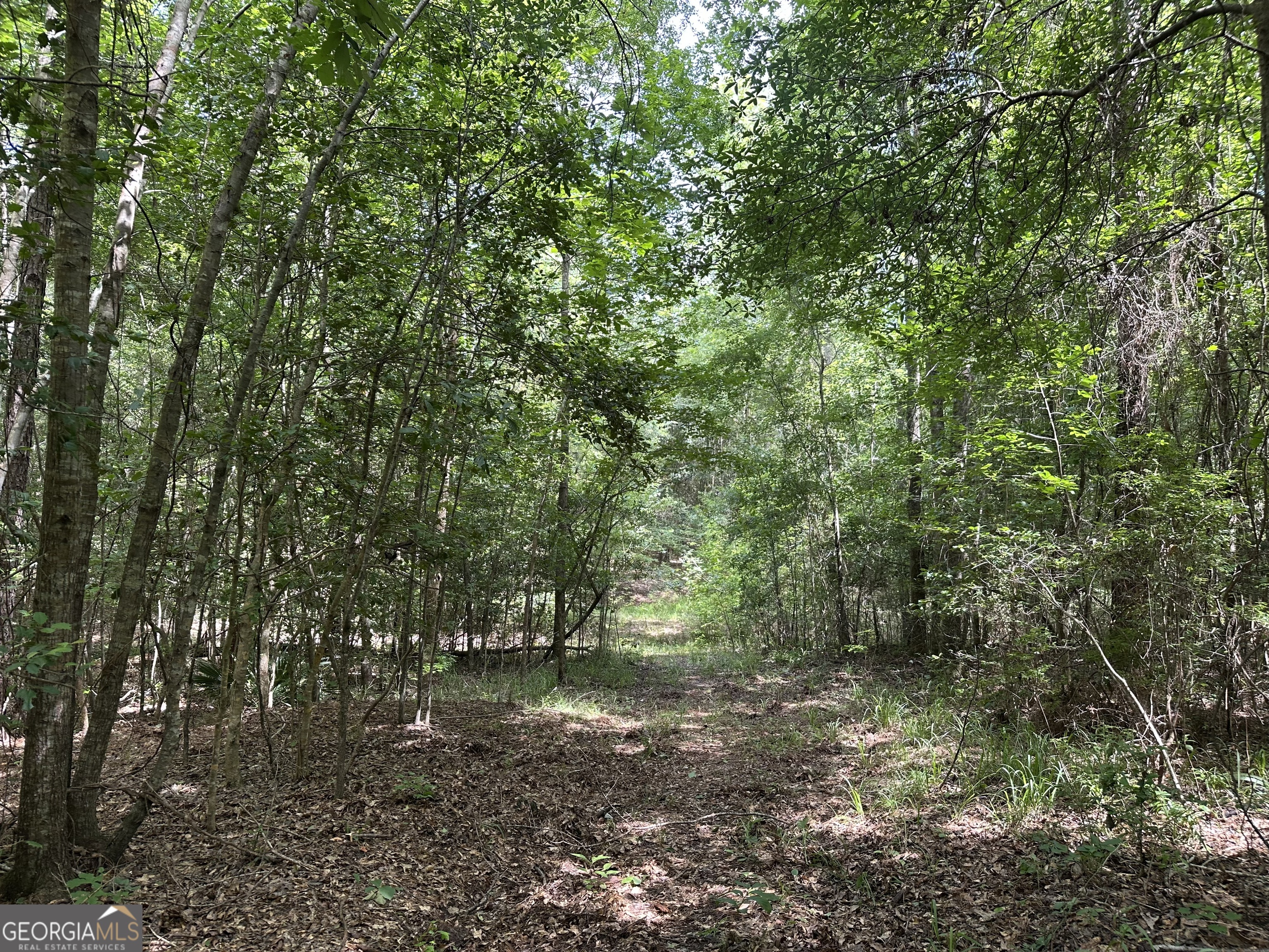 699 Ga Highway 96 Property Photo 9