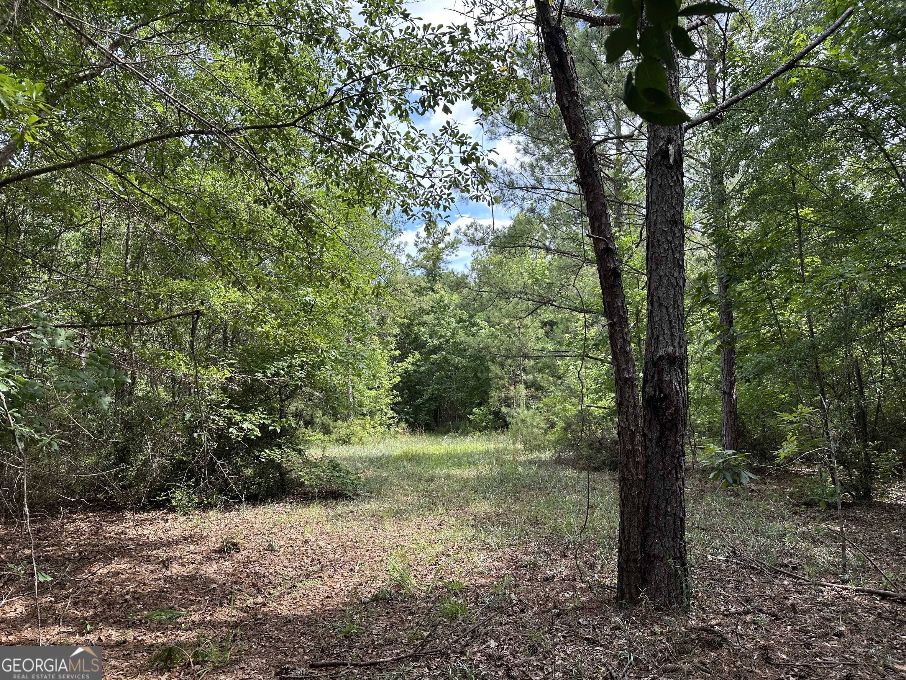 699 Ga Highway 96 Property Photo 10