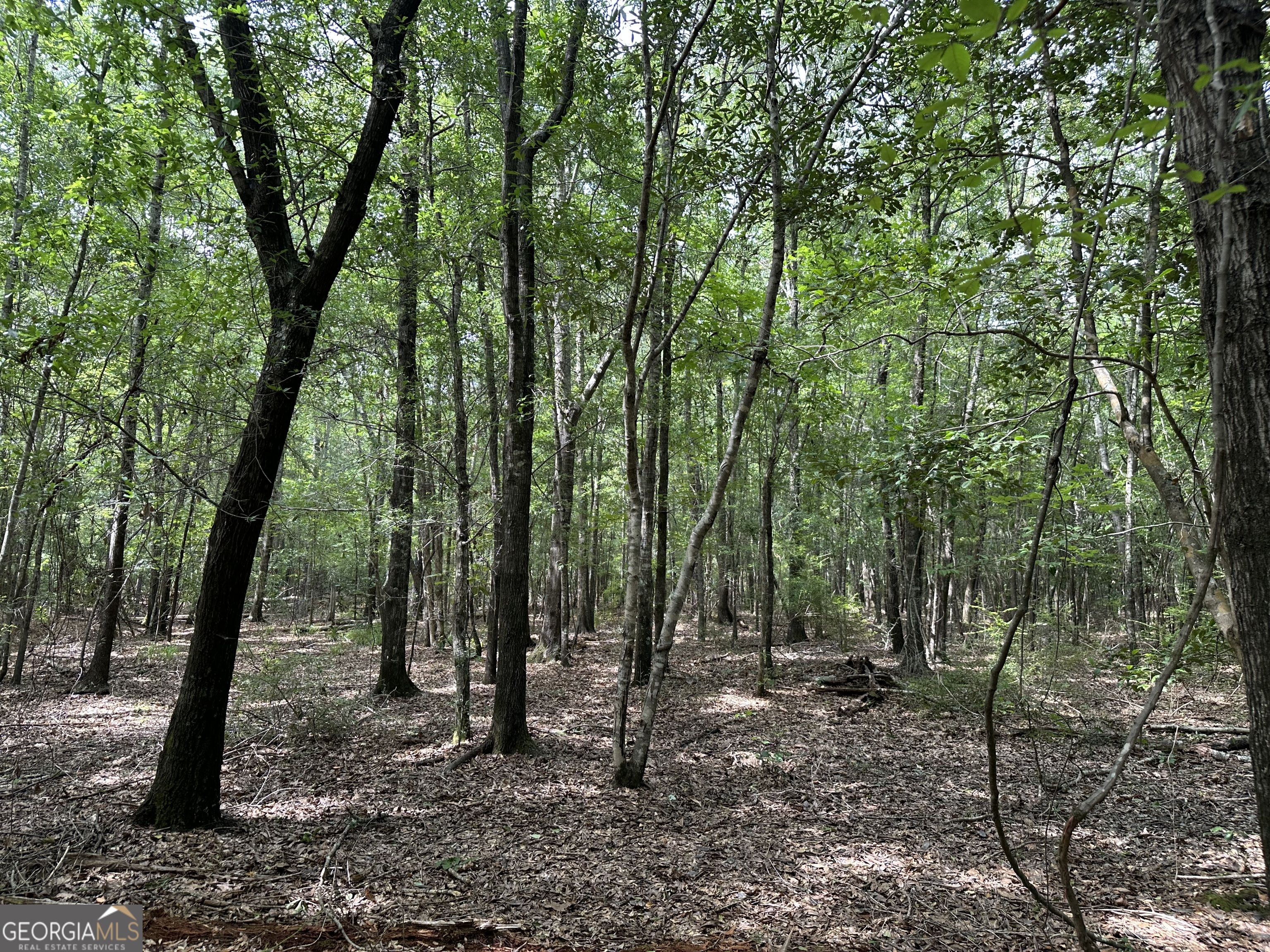 699 Ga Highway 96 Property Photo 12