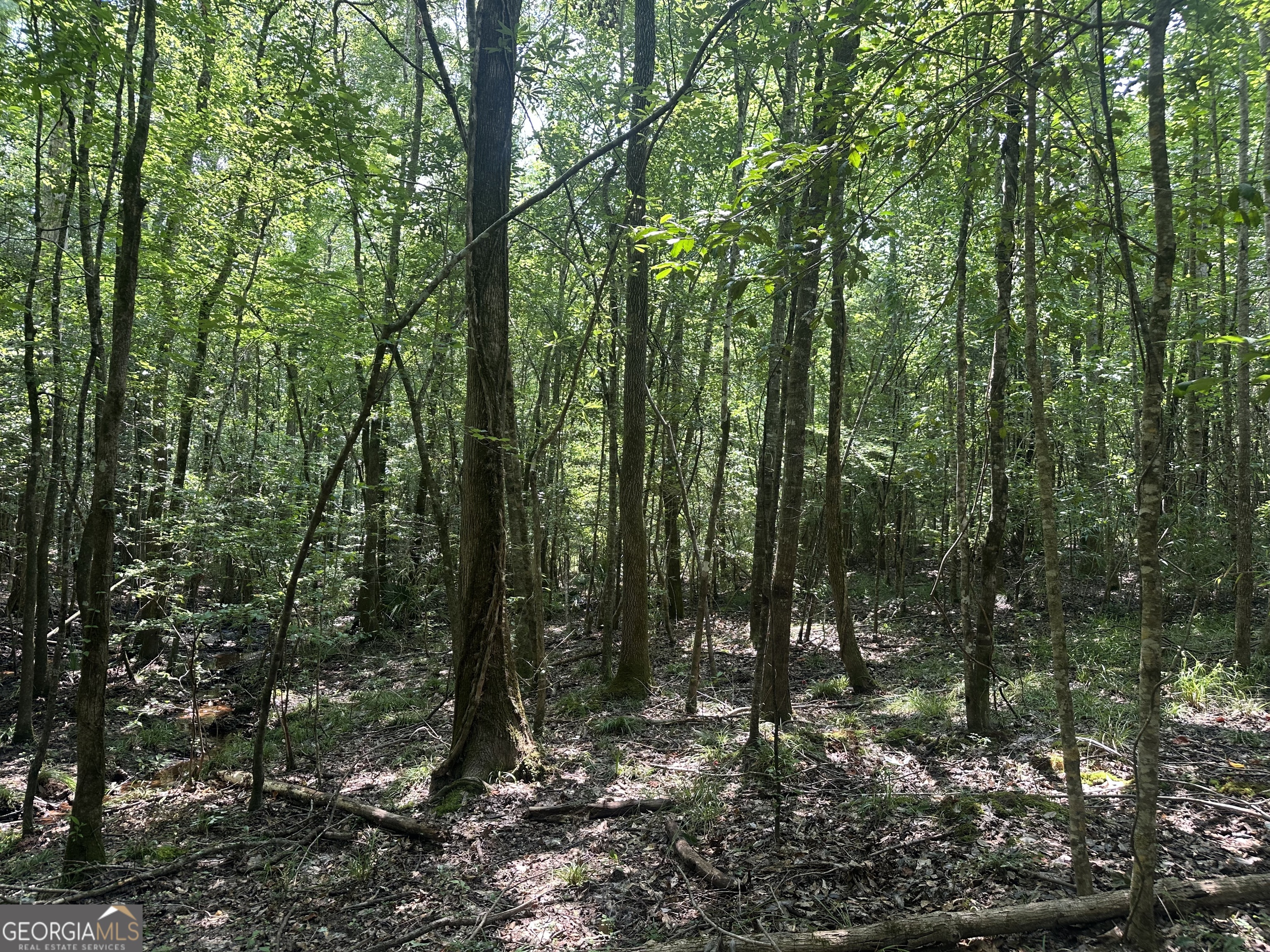 699 Ga Highway 96 Property Photo 13