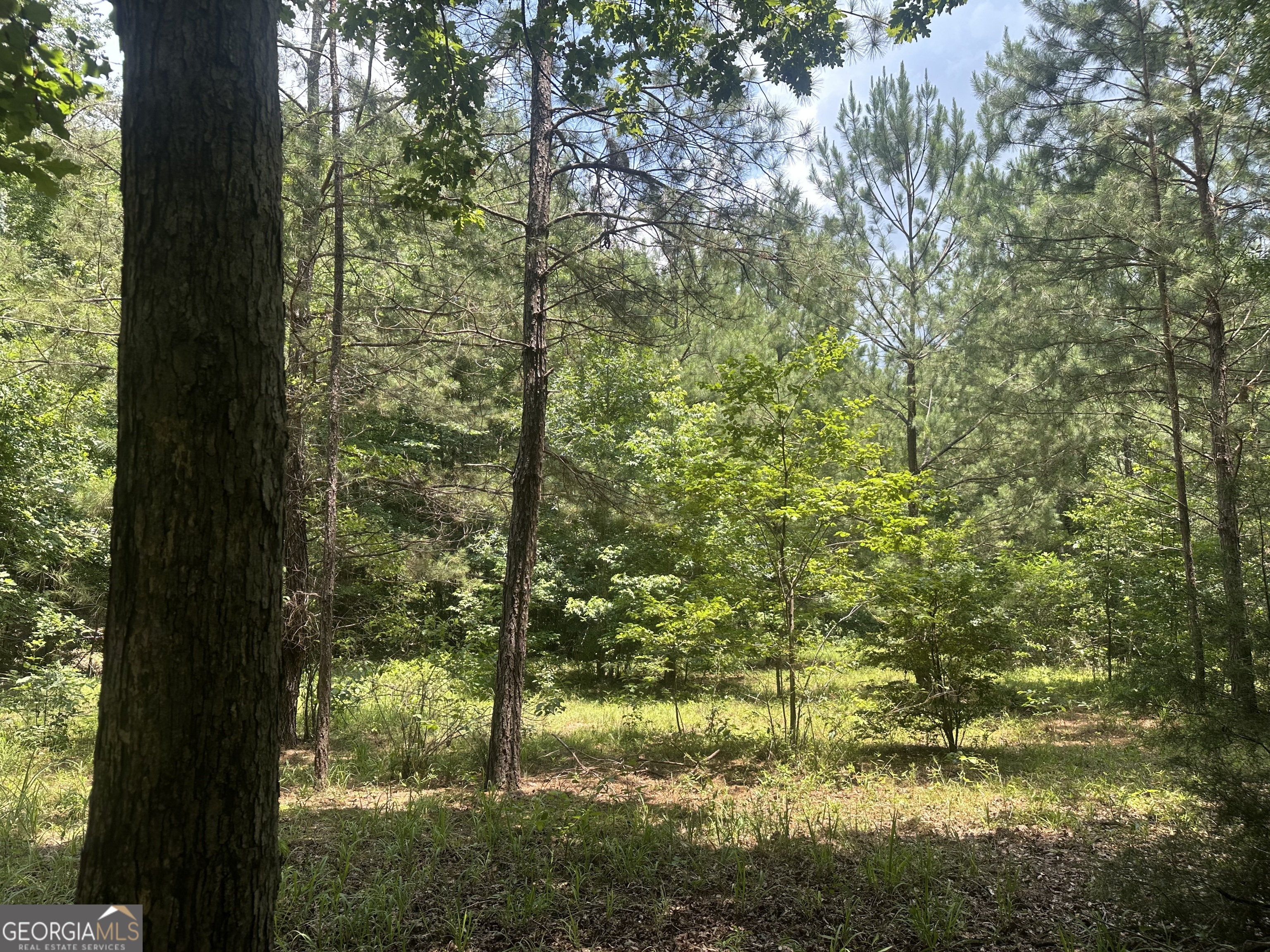 699 Ga Highway 96 Property Photo 14