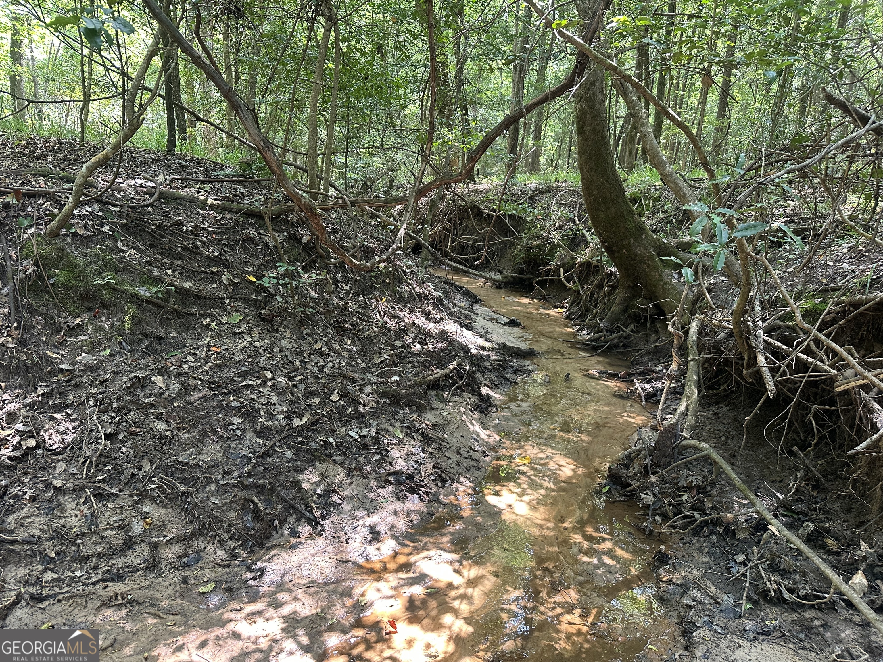 699 Ga Highway 96 Property Photo 17
