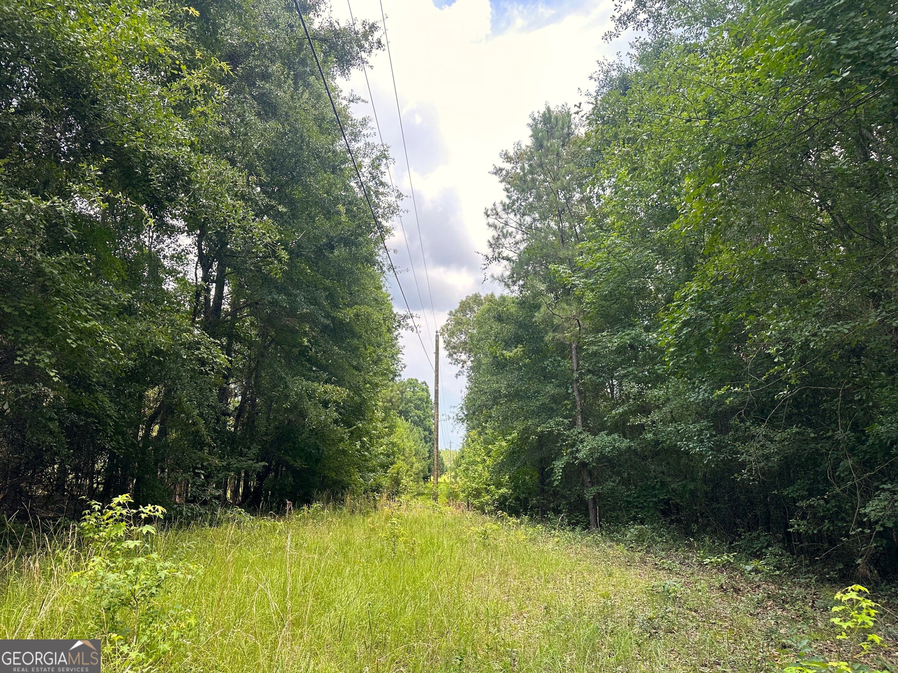 699 Ga Highway 96 Property Photo 18