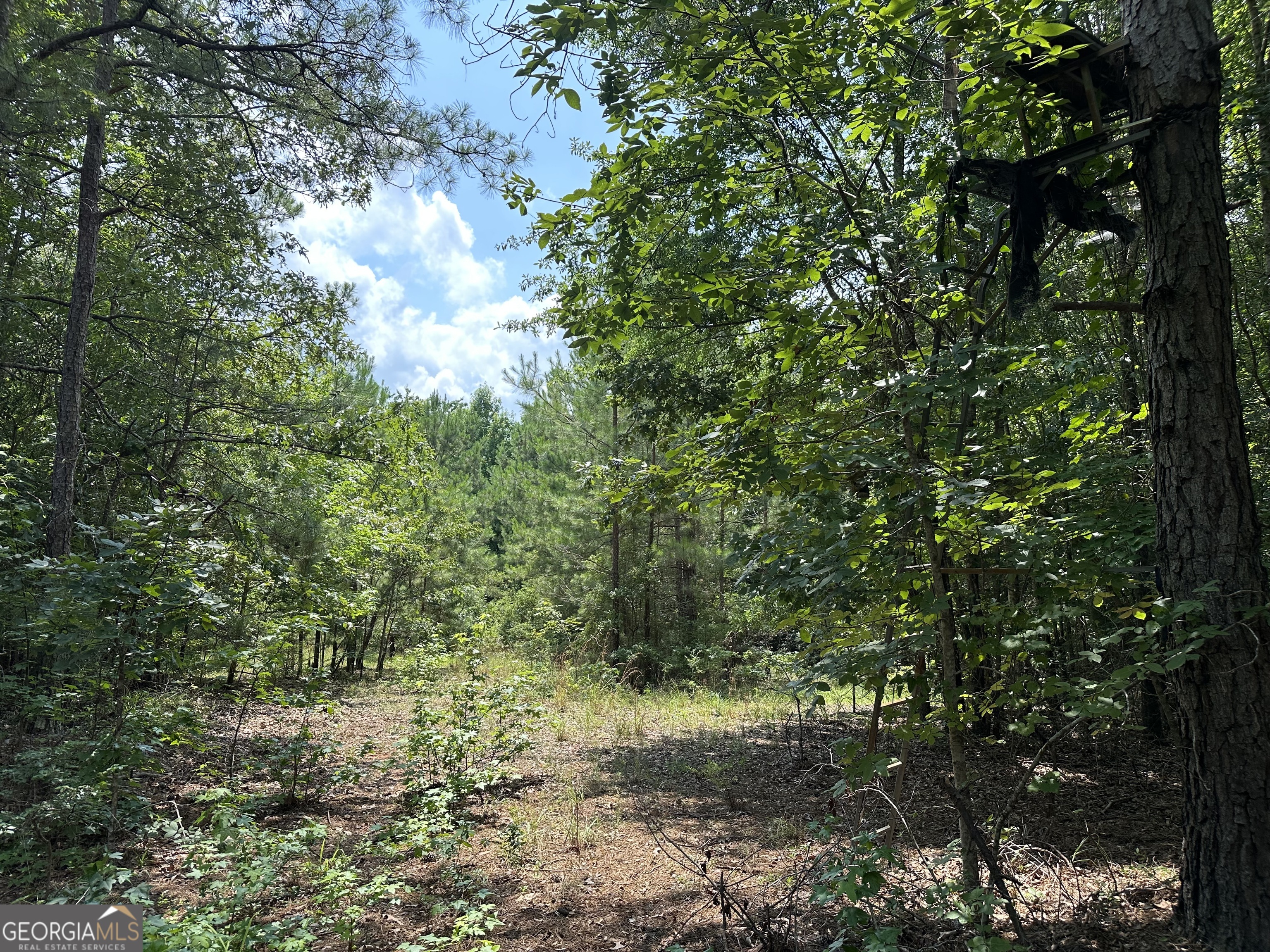 699 Ga Highway 96 Property Photo 19