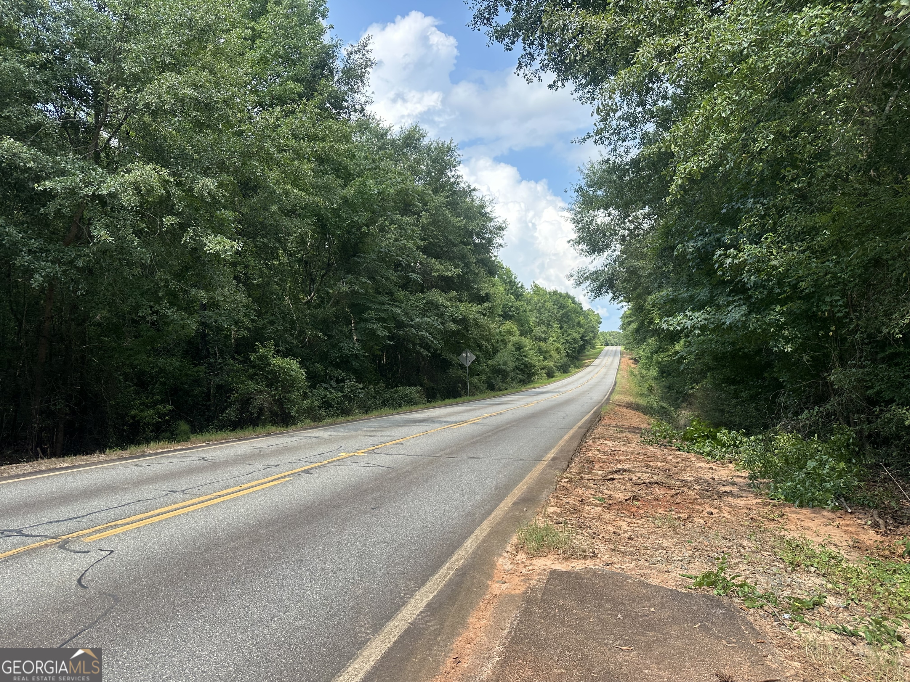699 Ga Highway 96 Property Photo 21