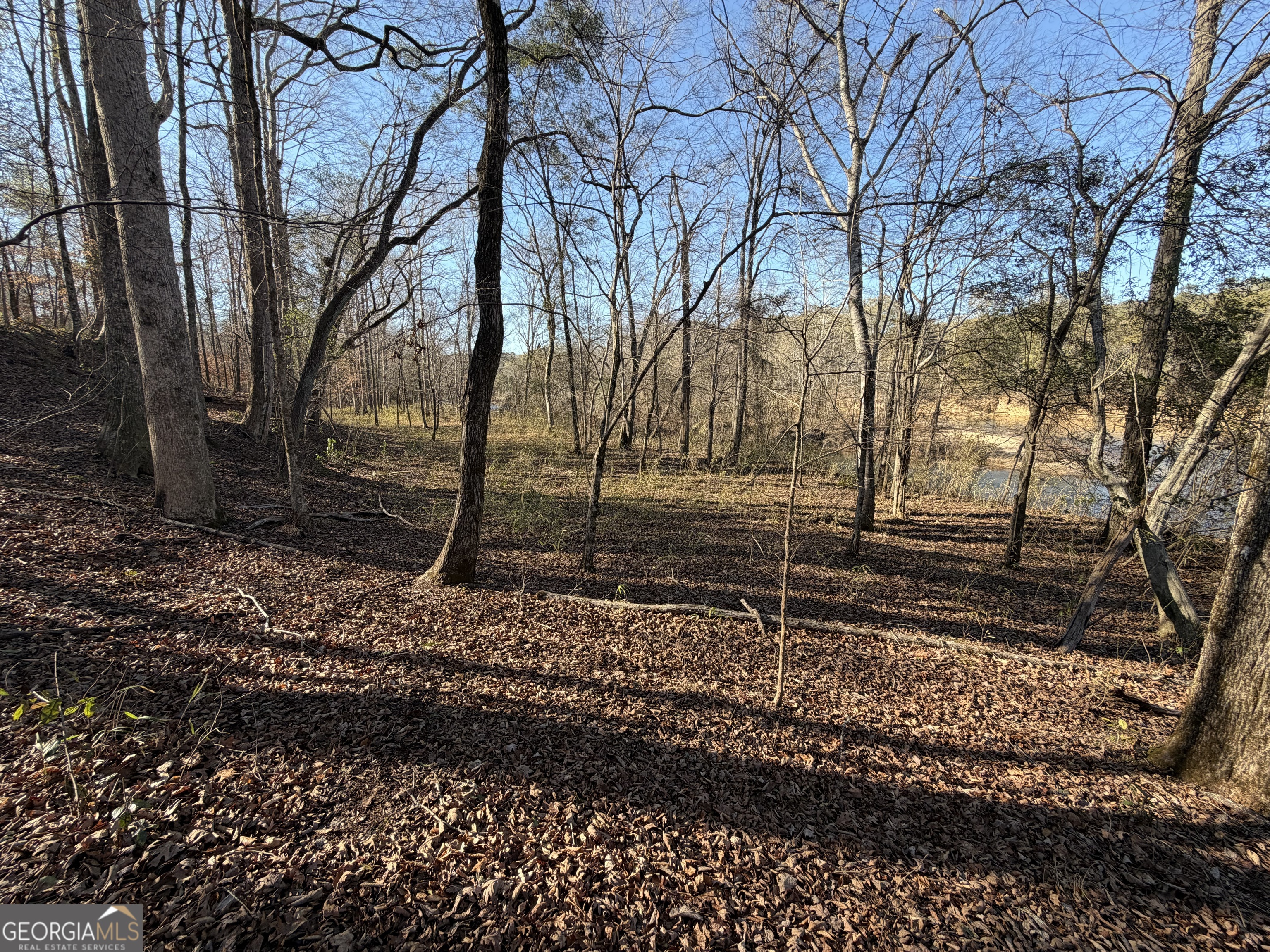0 Hwy 36 Lot 6b Property Photo 8
