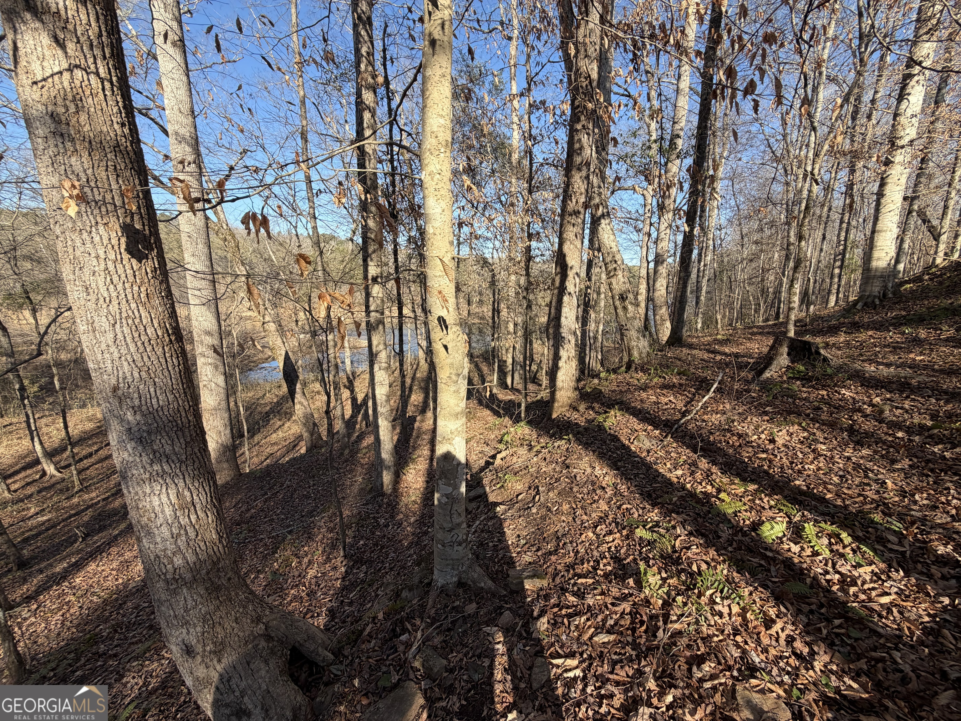 0 Hwy 36 Lot 6b Property Photo 10