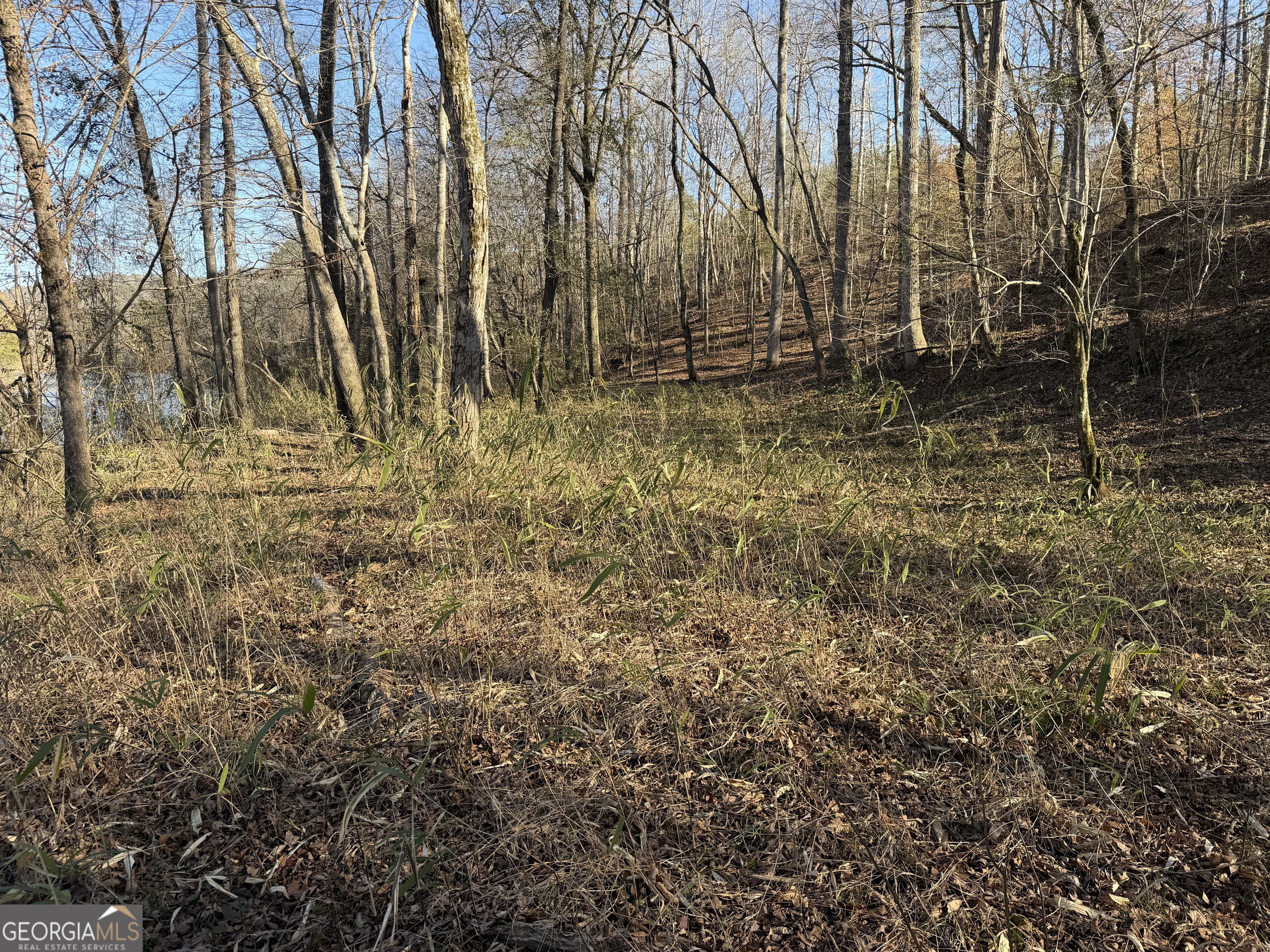 0 Hwy 36 Lot 6b Property Photo 11
