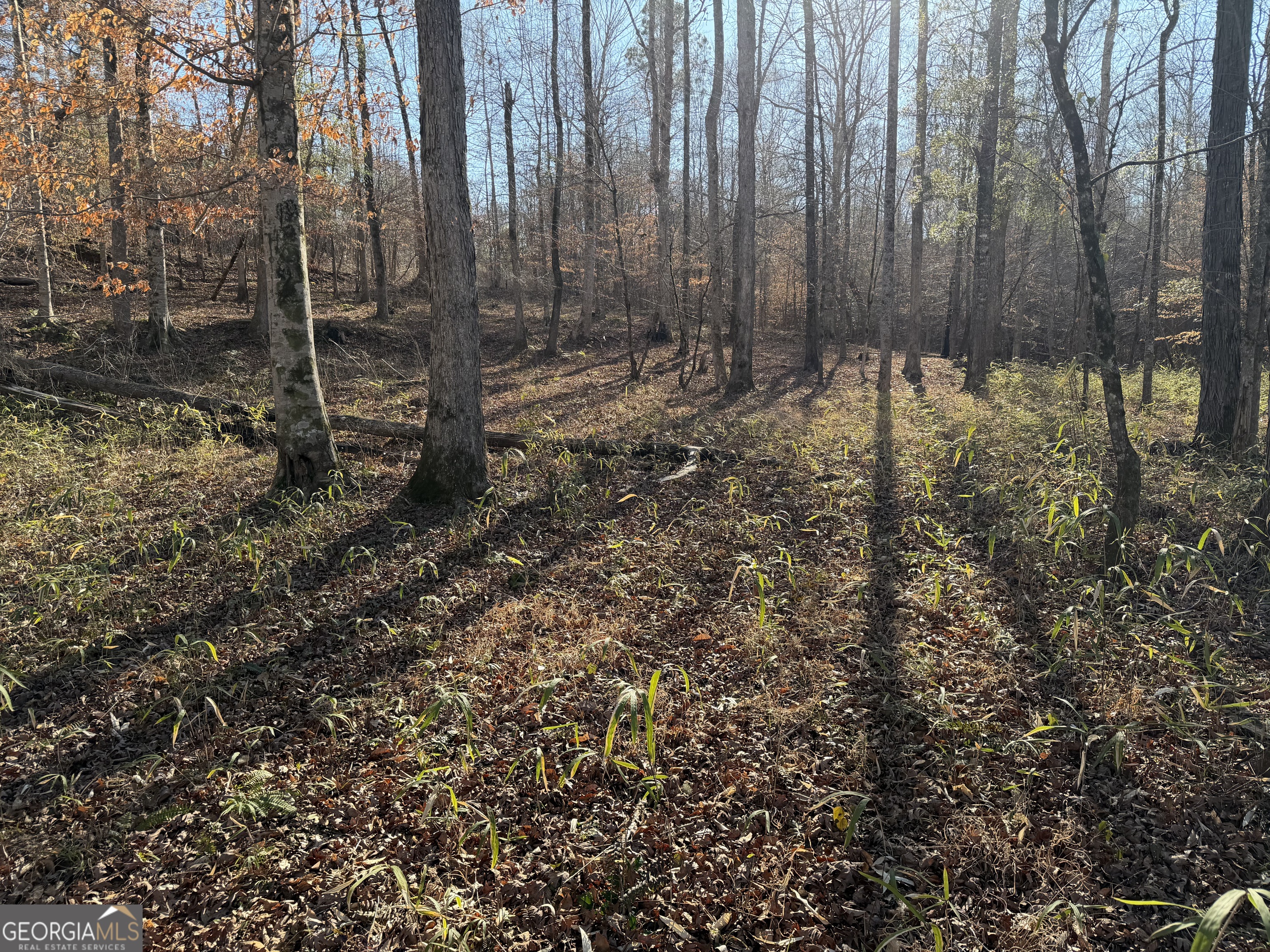 0 Hwy 36 Lot 6b Property Photo 12