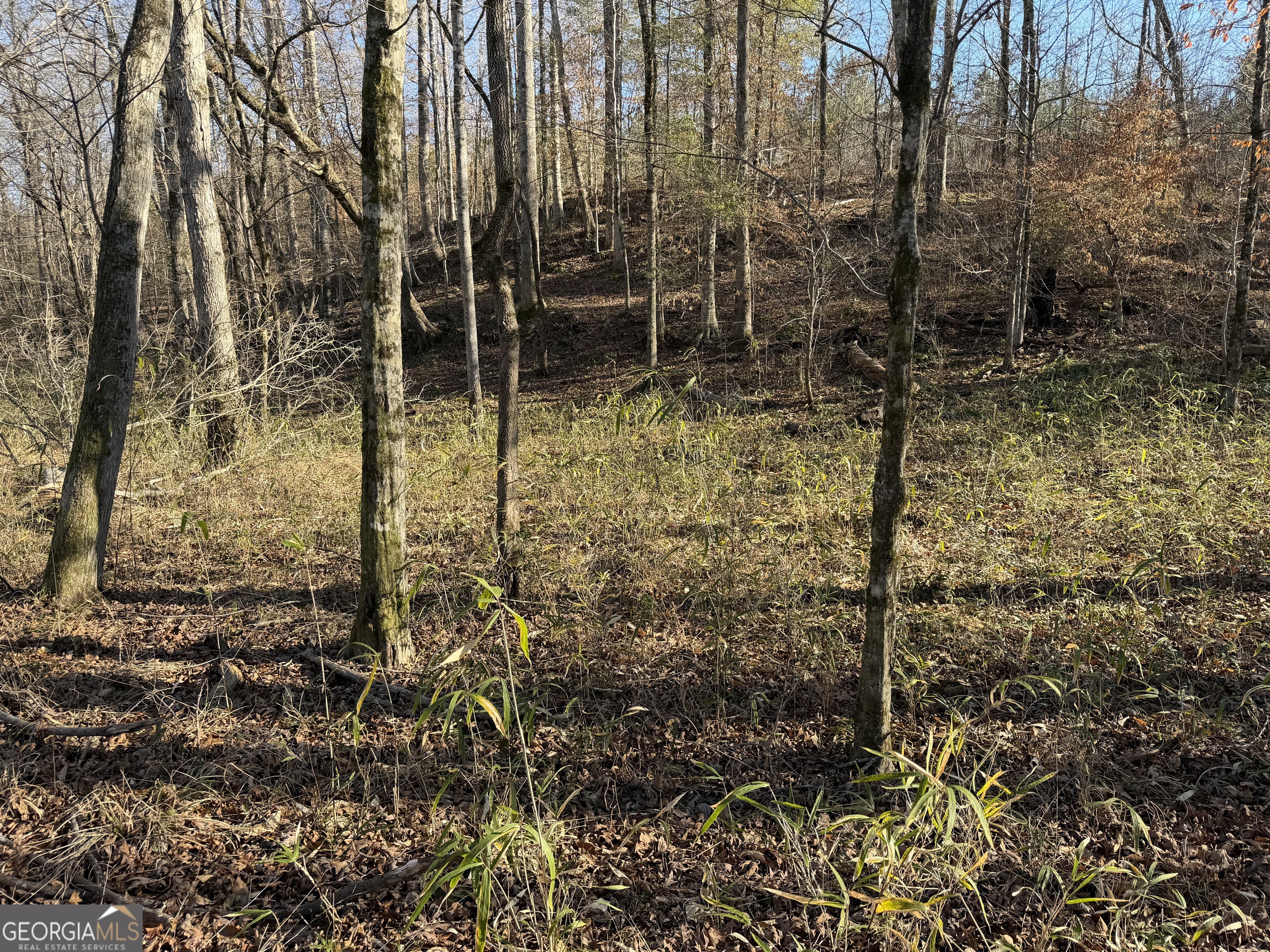 0 Hwy 36 Lot 6b Property Photo 13