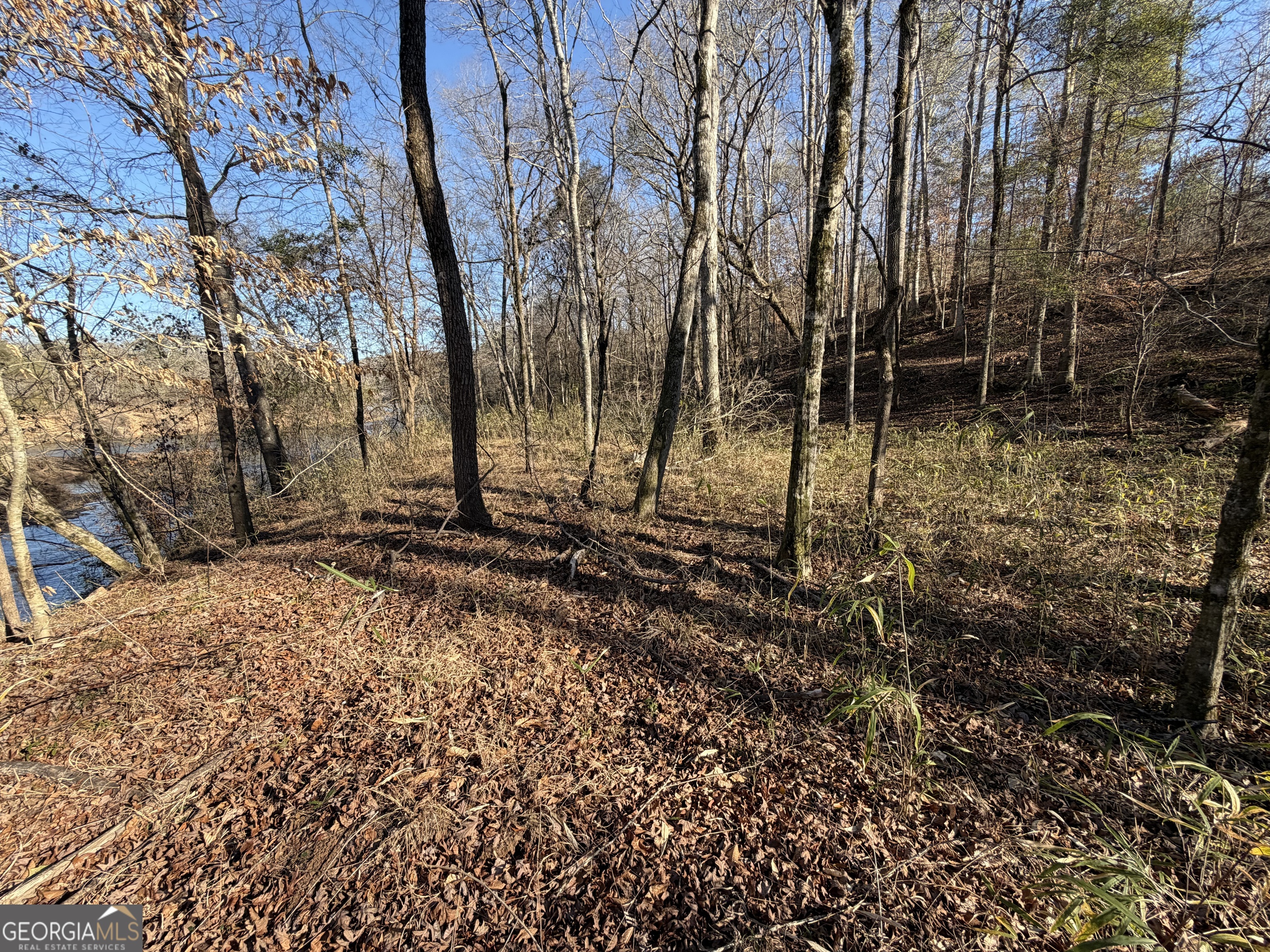 0 Hwy 36 Lot 6b Property Photo 14