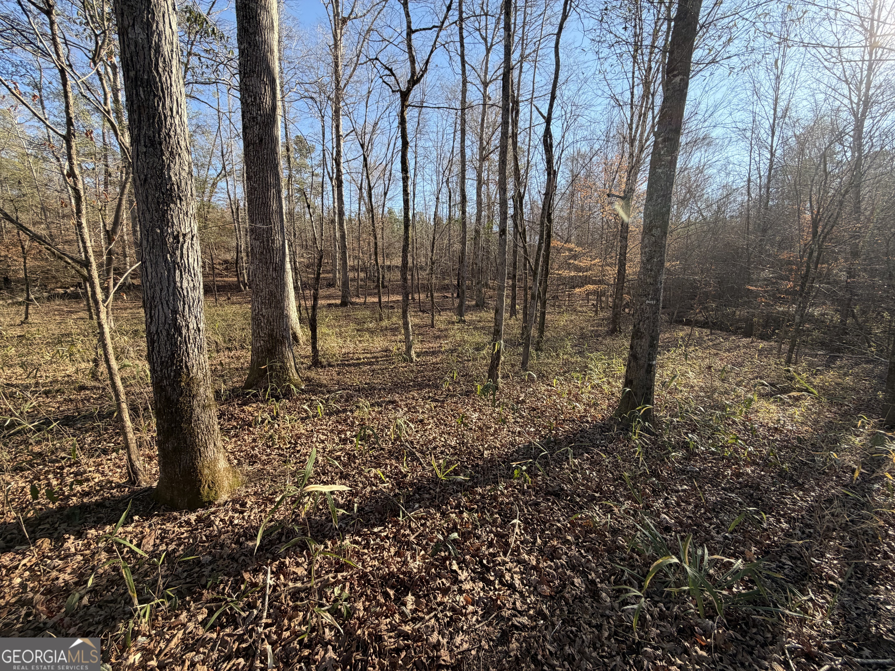 0 Hwy 36 Lot 6b Property Photo 17