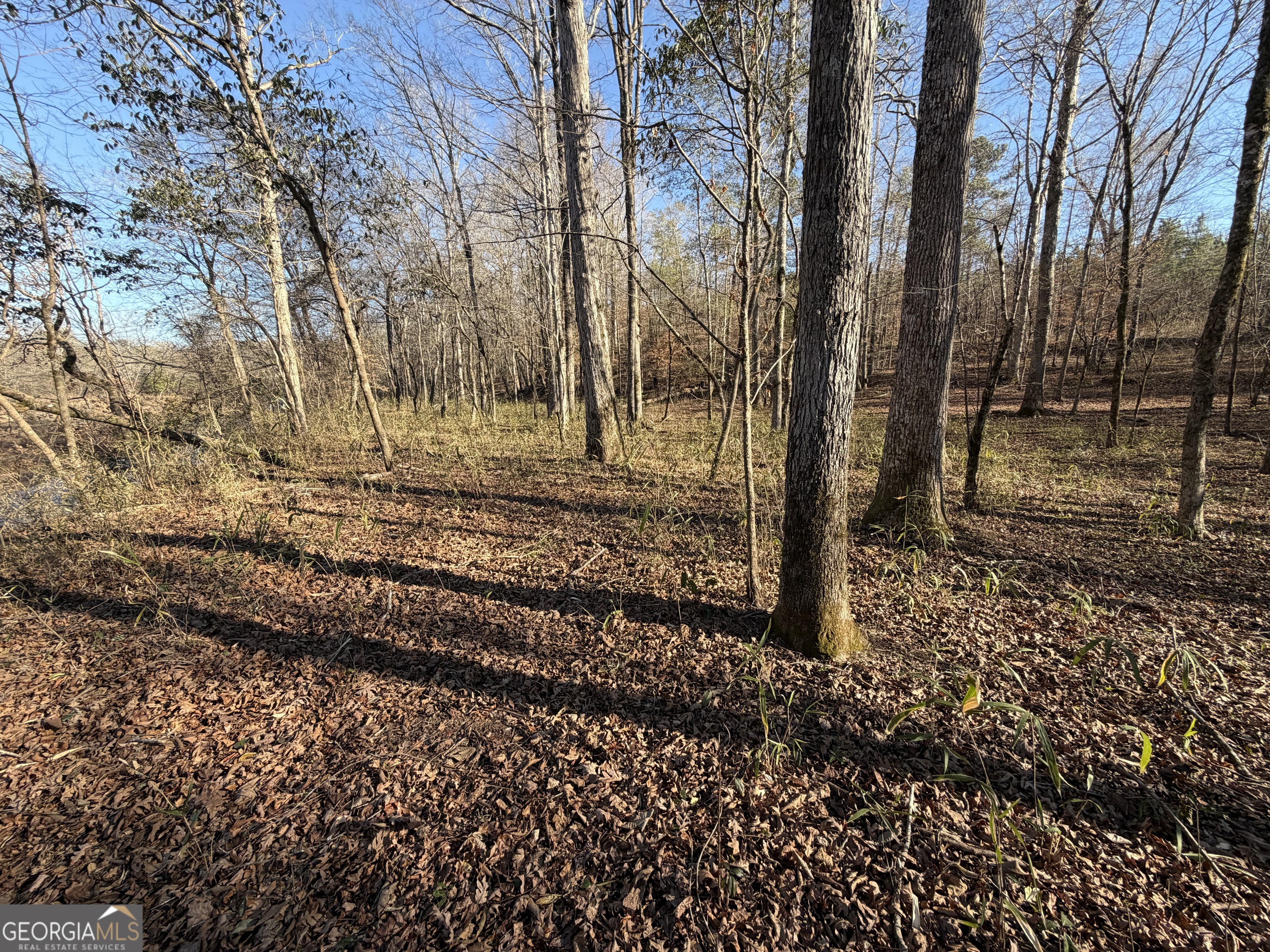 0 Hwy 36 Lot 6b Property Photo 18