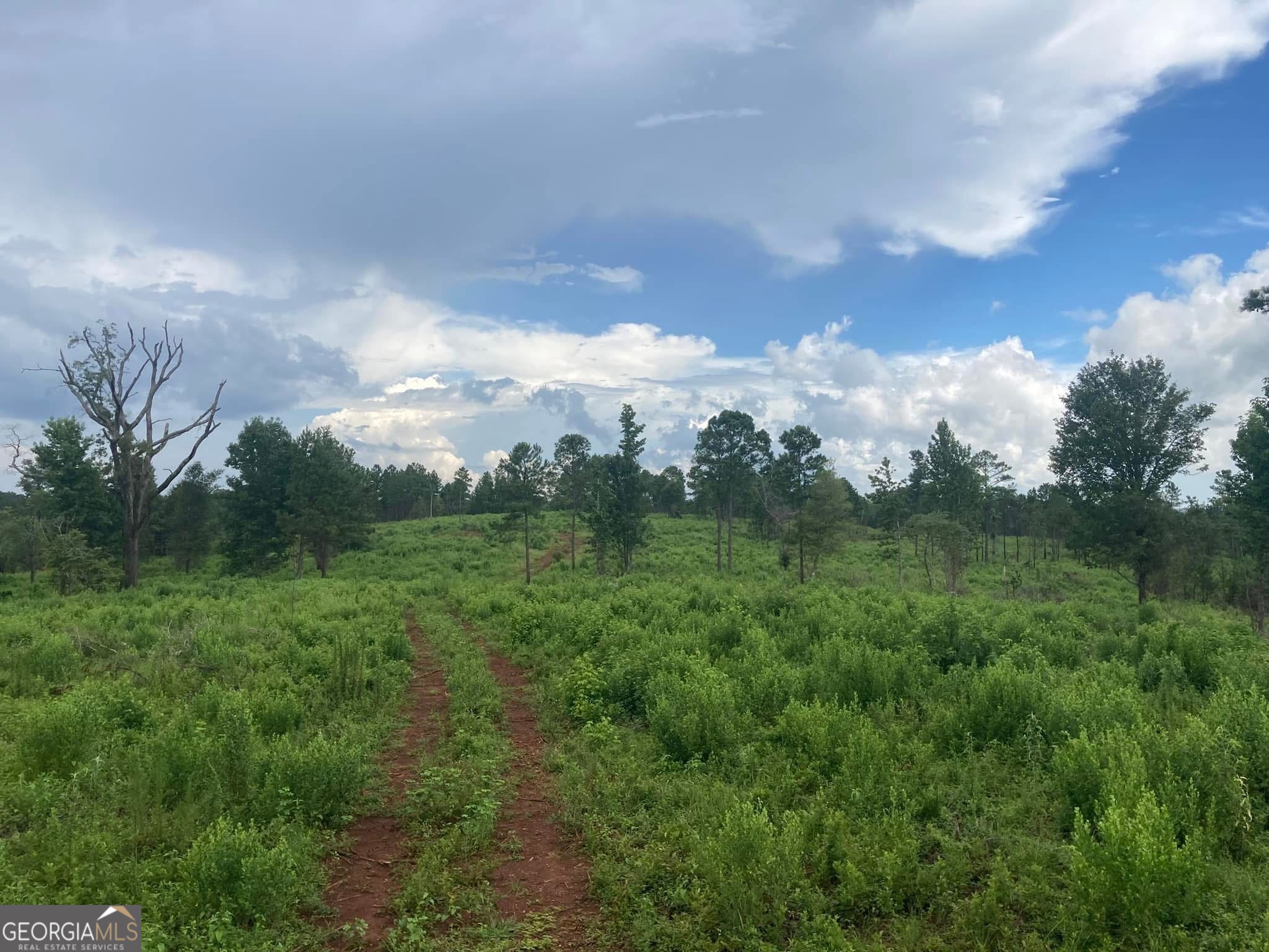 0 Hwy 36 Lot 6b Property Photo 21