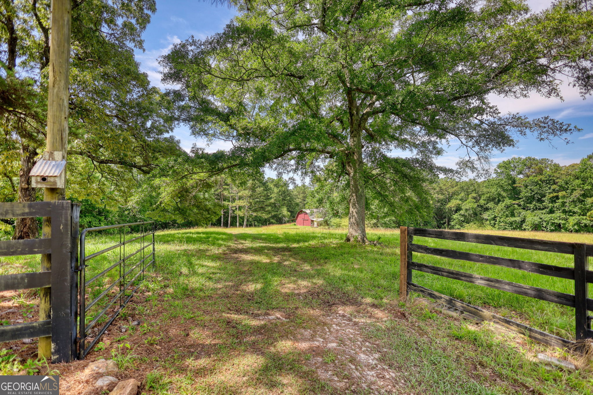 2665 Macedonia Road Property Photo 9