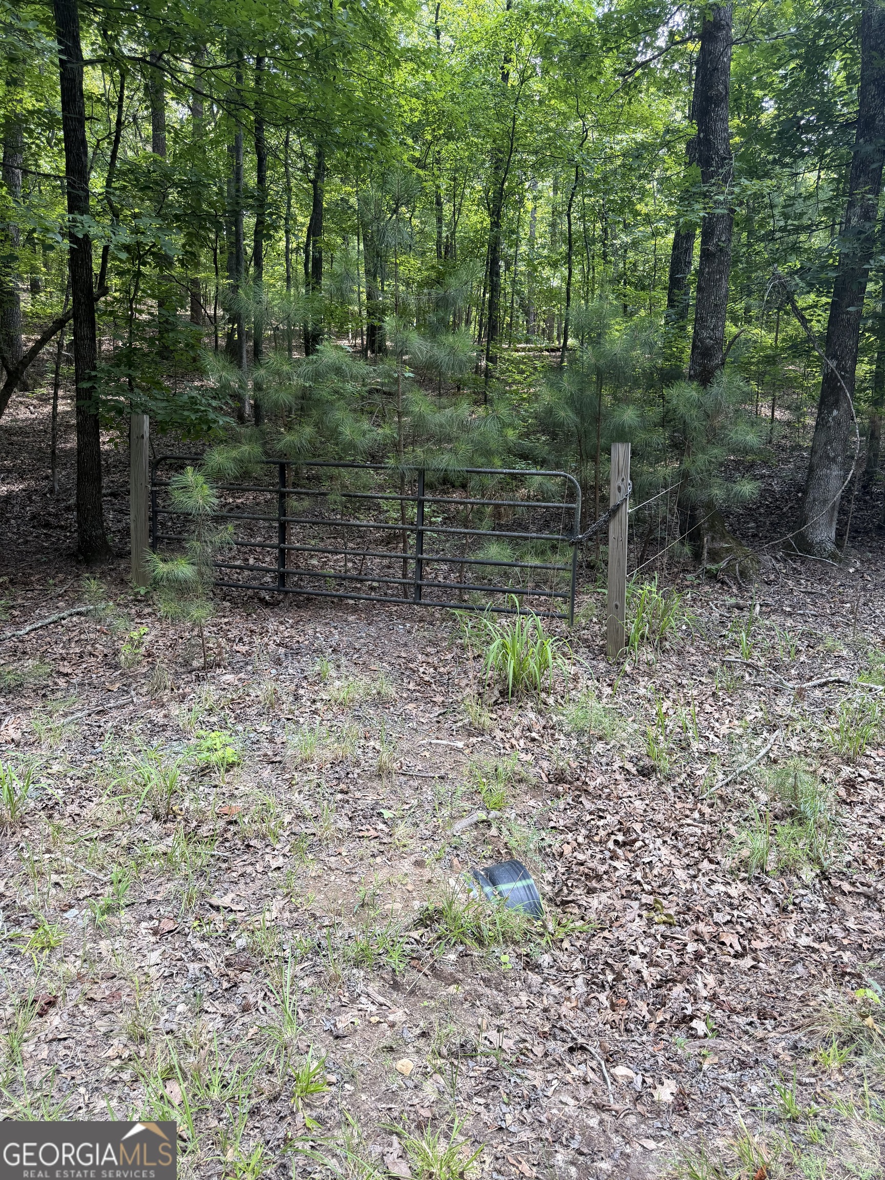 0 Pleasant Valley Road Property Photo 5