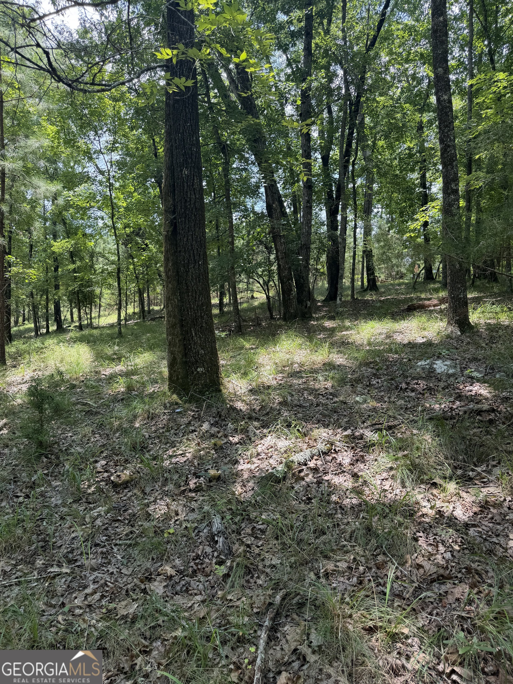 0 Pleasant Valley Road Property Photo 6