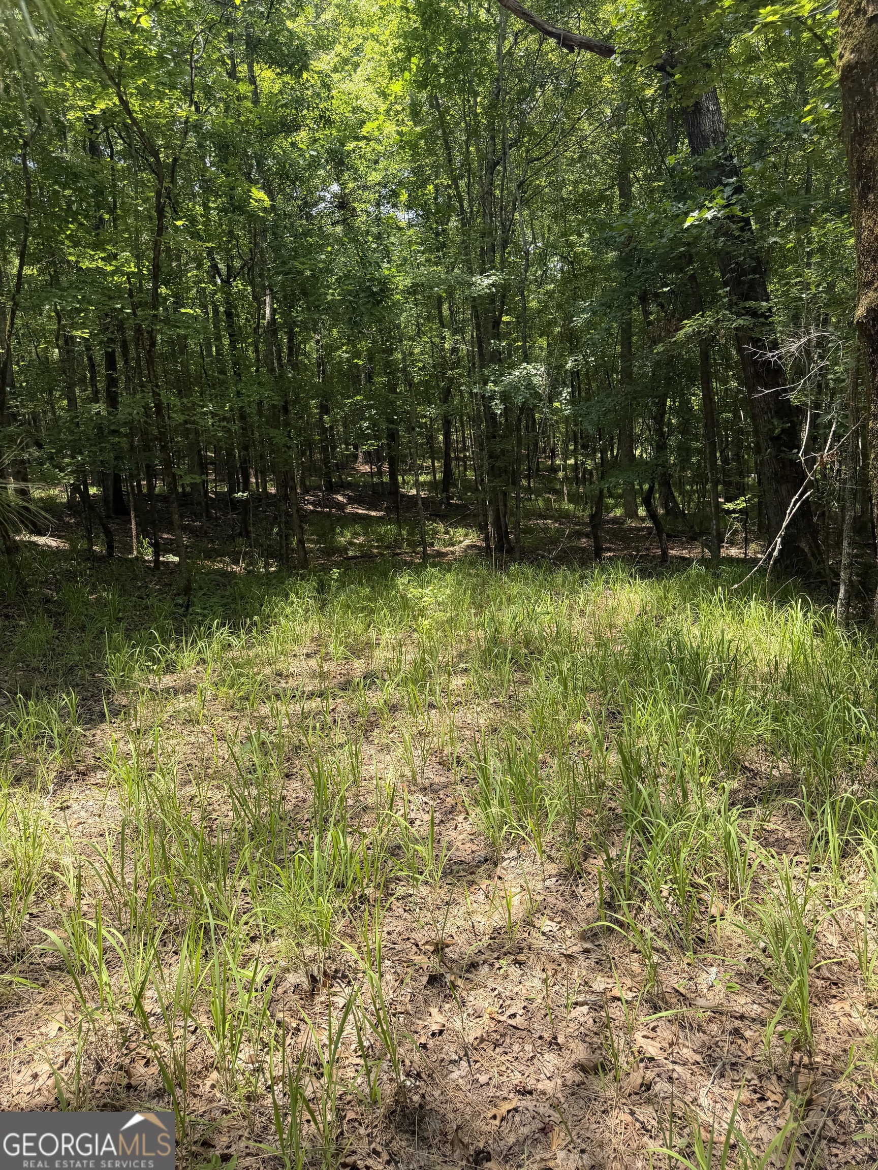 0 Pleasant Valley Road Property Photo 11