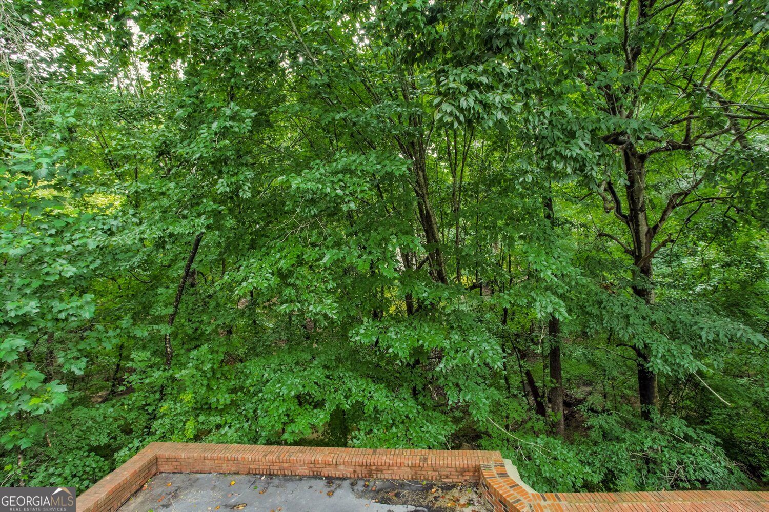 6420 Windsor Trace Drive # 6420 Property Photo 18