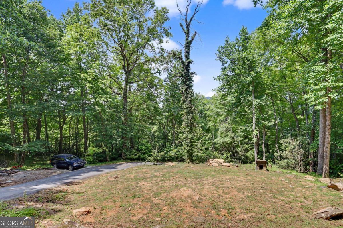 574 Bachelors Button Drive Property Photo 12