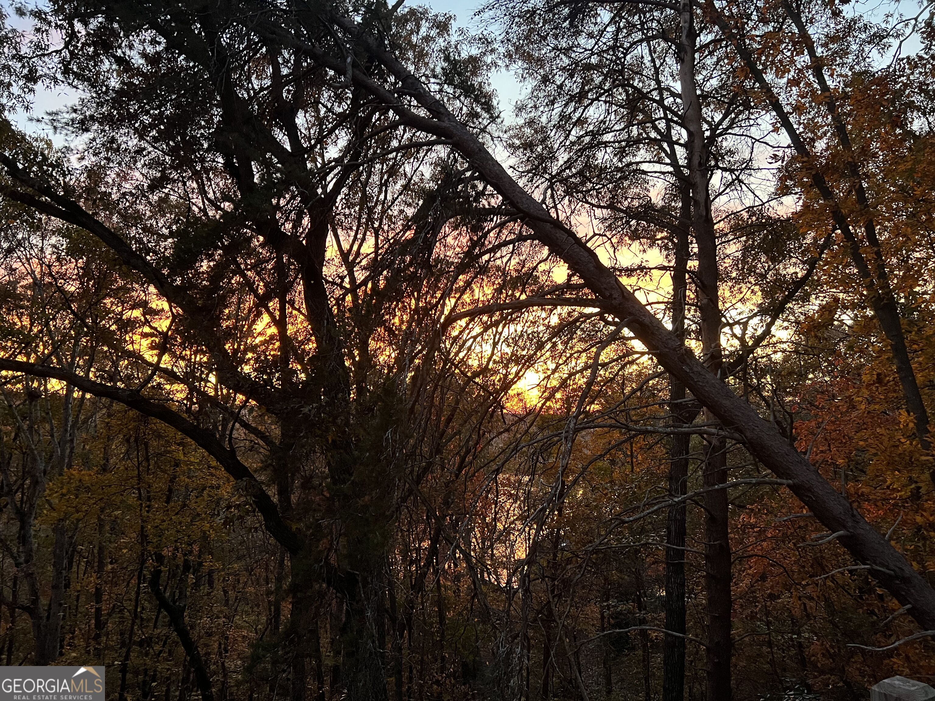2251 Skyline Drive Property Photo 27