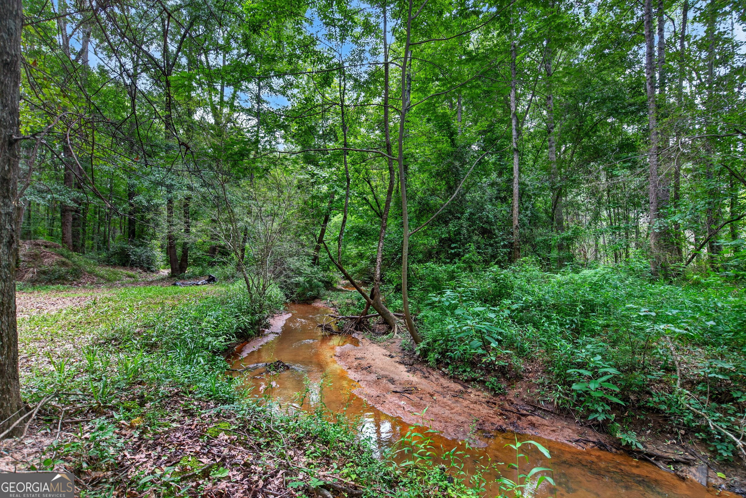 697 John Lovelace Road Property Photo 42