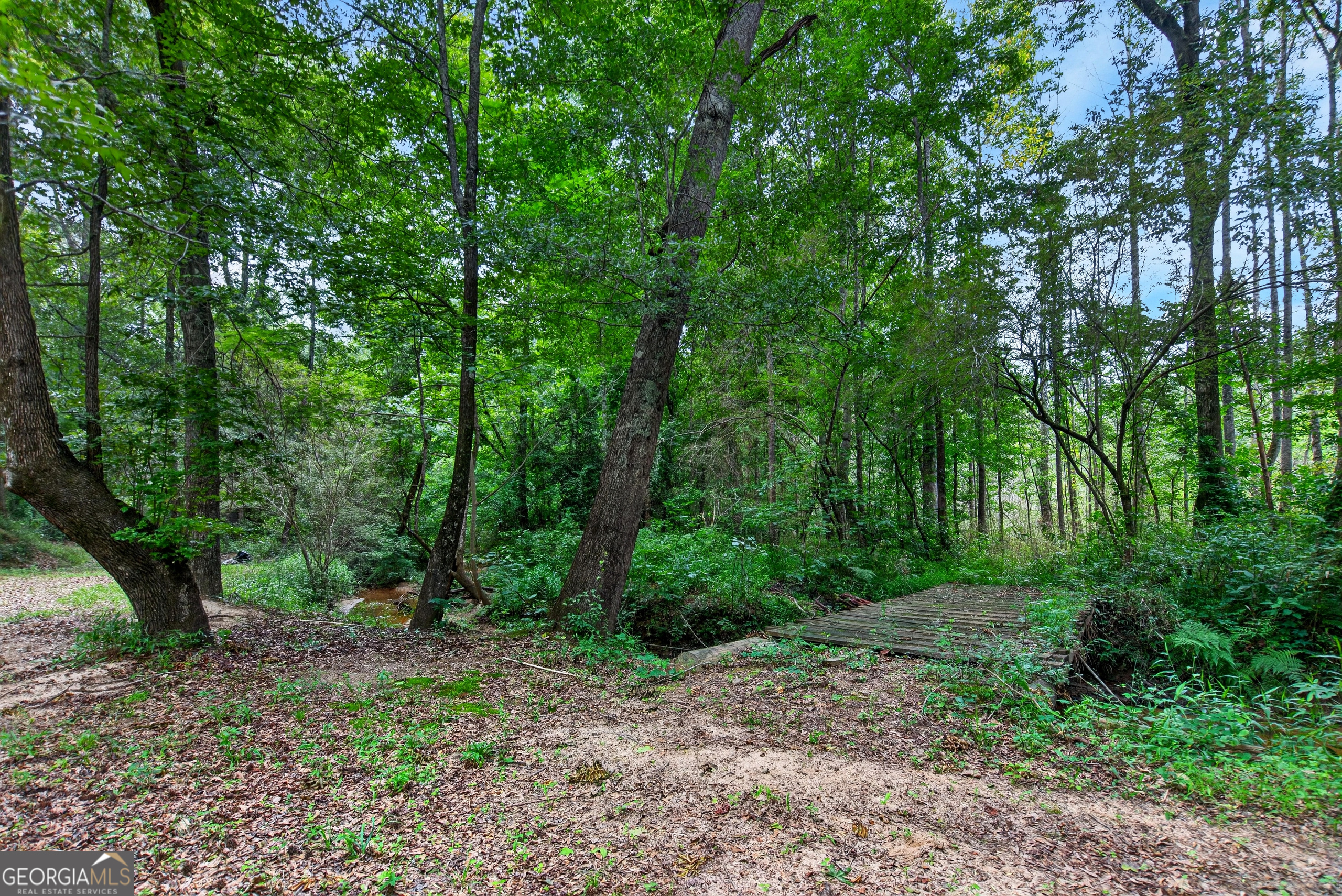 697 John Lovelace Road Property Photo 43