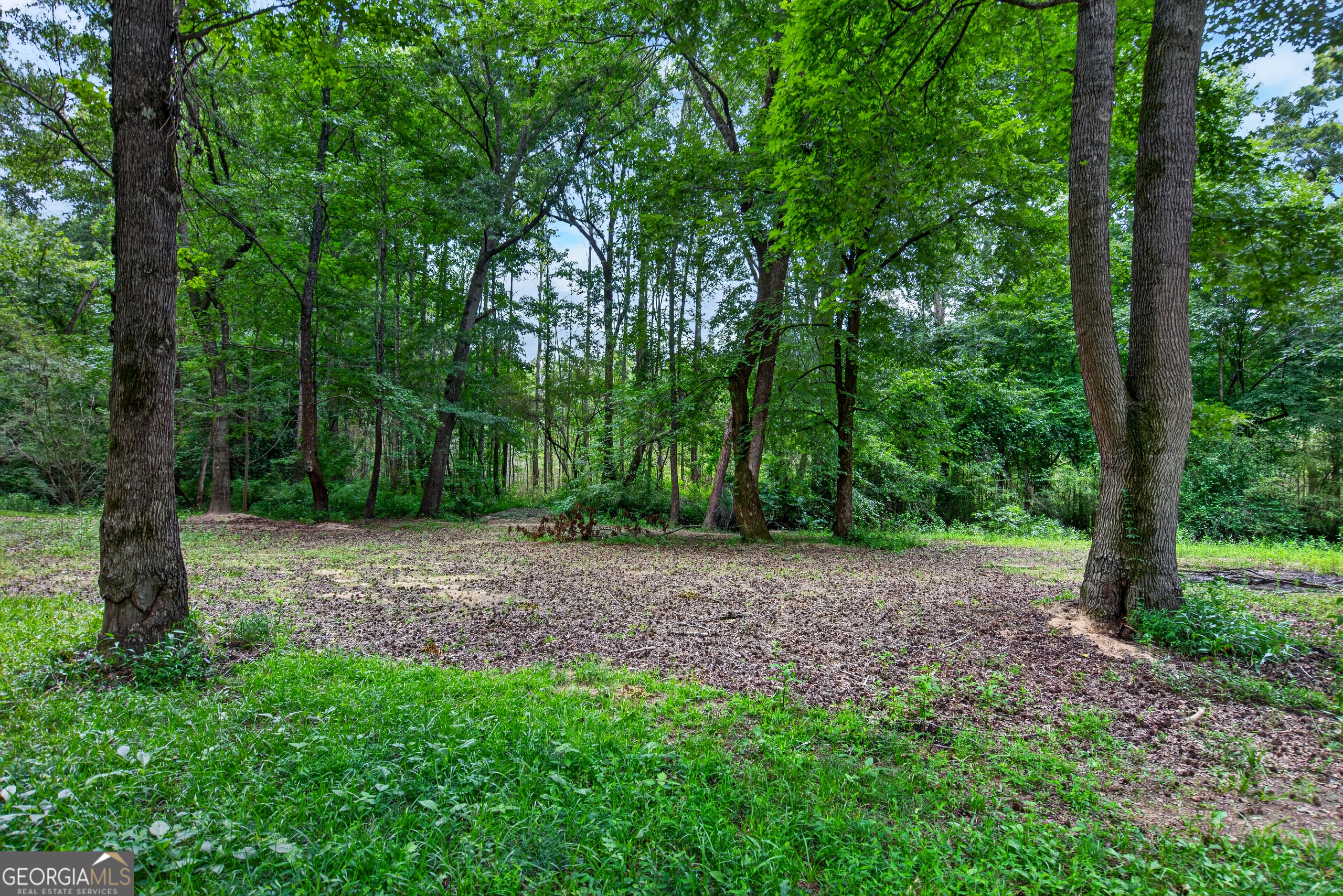 697 John Lovelace Road Property Photo 44
