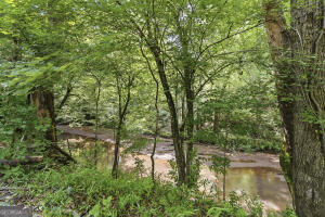 138 Posey Drive Property Photo 69