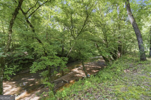 138 Posey Drive Property Photo 70