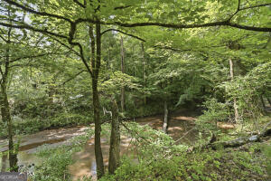 138 Posey Drive Property Photo 71